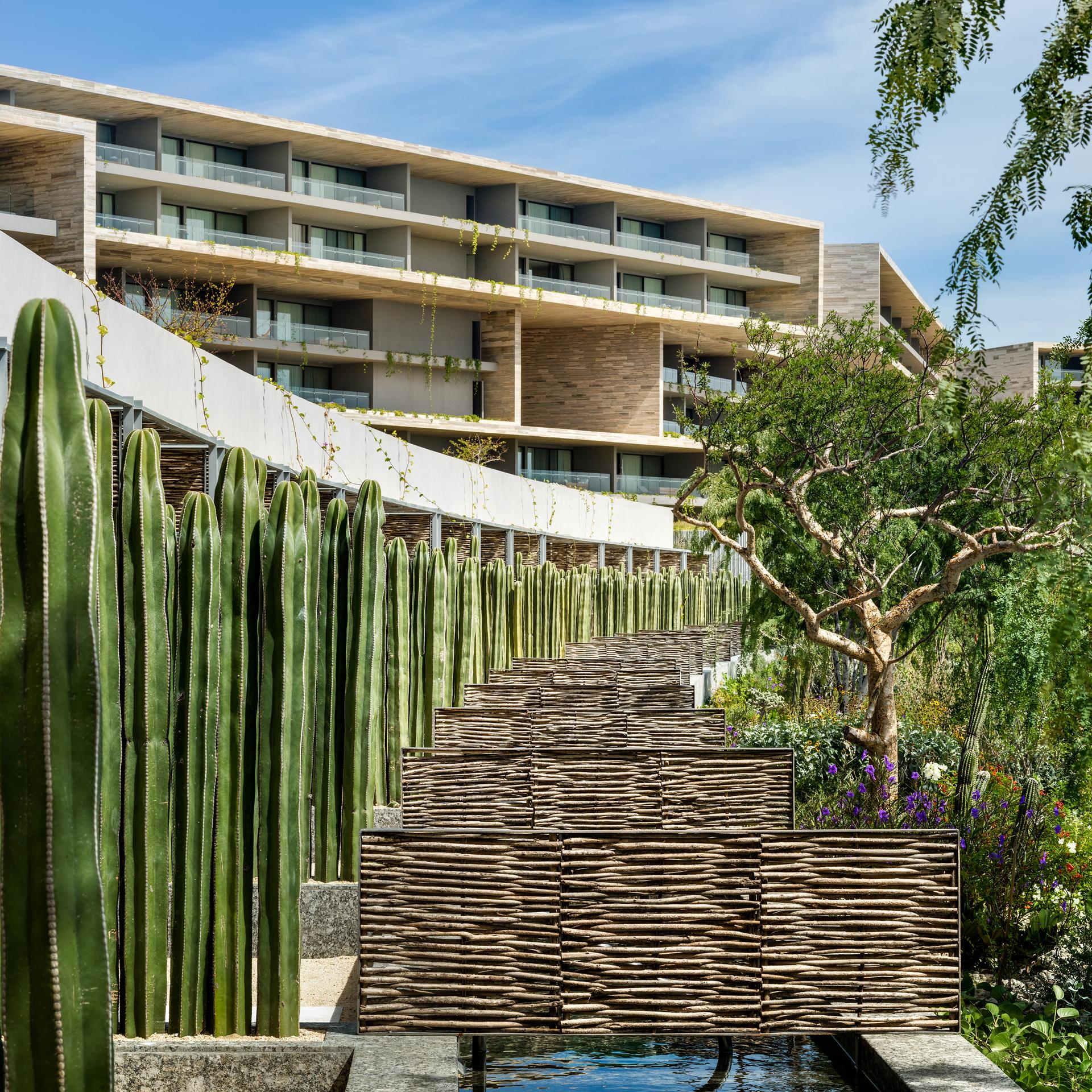 Solaz Los Cabos - image 12