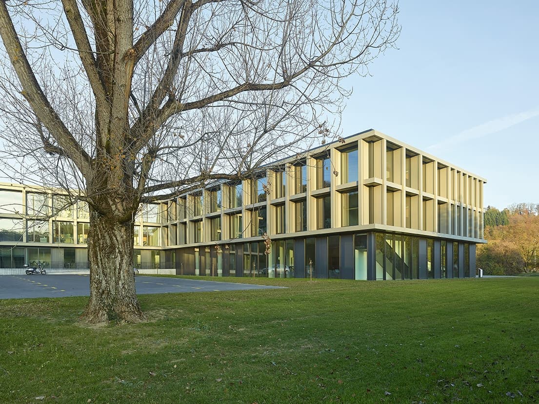 Verney primary and secondary school