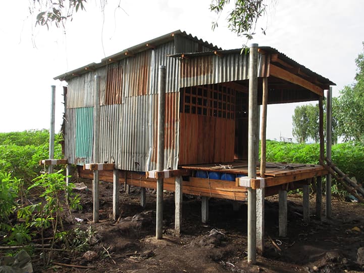 Amphibious Homes for Vietnam's Vulnerable - image 4