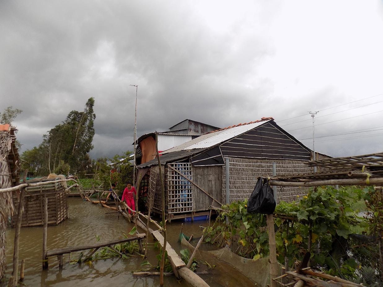 Amphibious Homes for Vietnam's Vulnerable - image 9