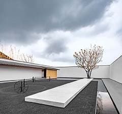 Laurel oriental, Vanke - image 4