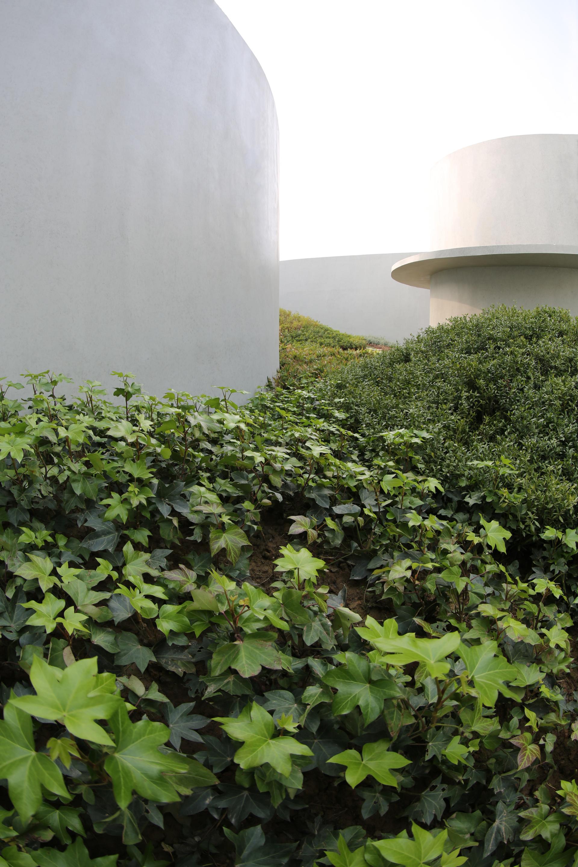 "The Shadow Garden" of World Horticulture Expo in Yangzhou - image 20