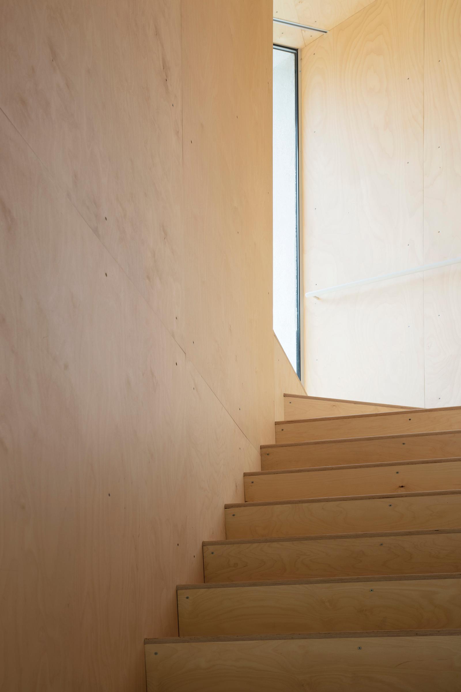 ZOID House - image 8
