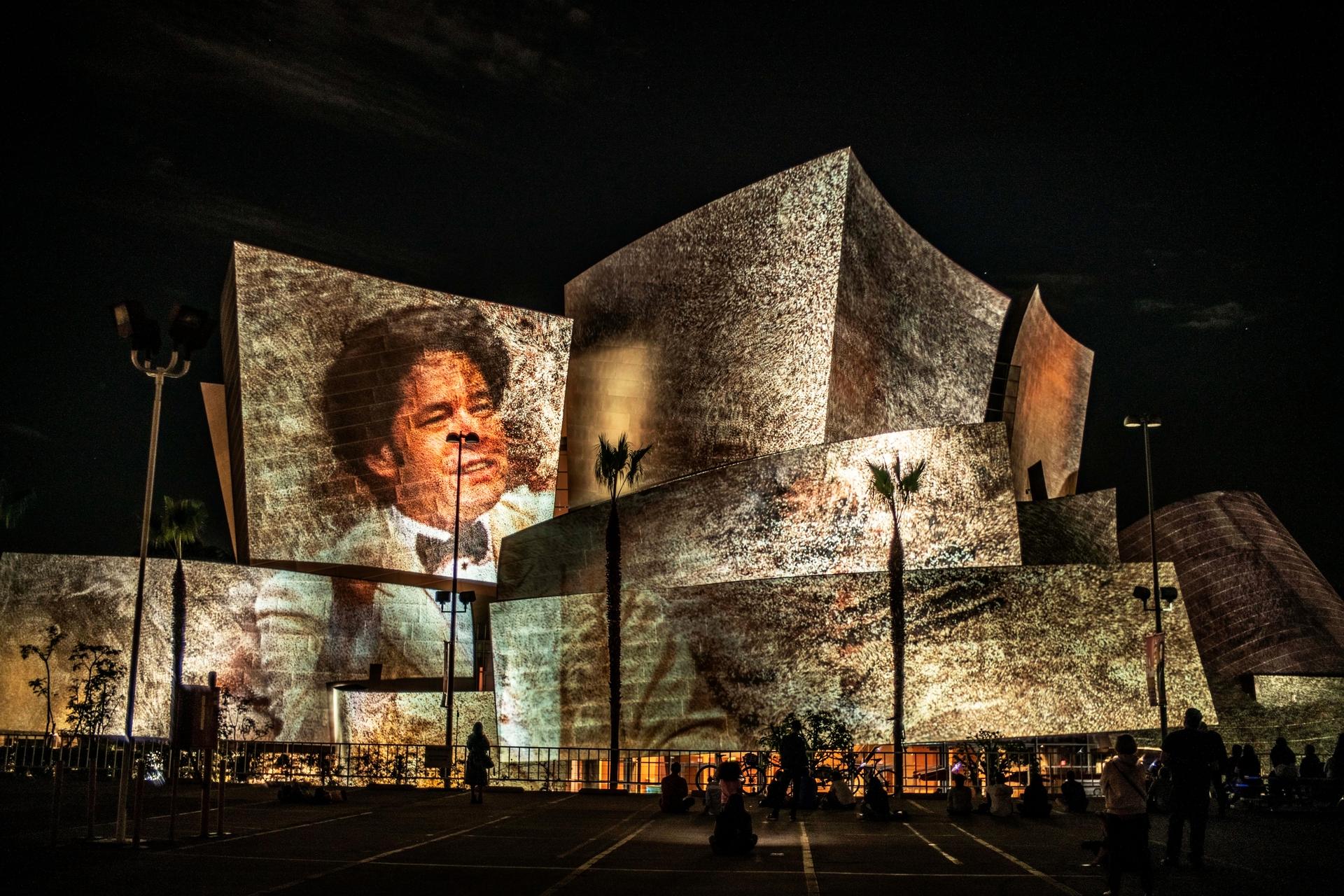 WDCH Dreams - image 6