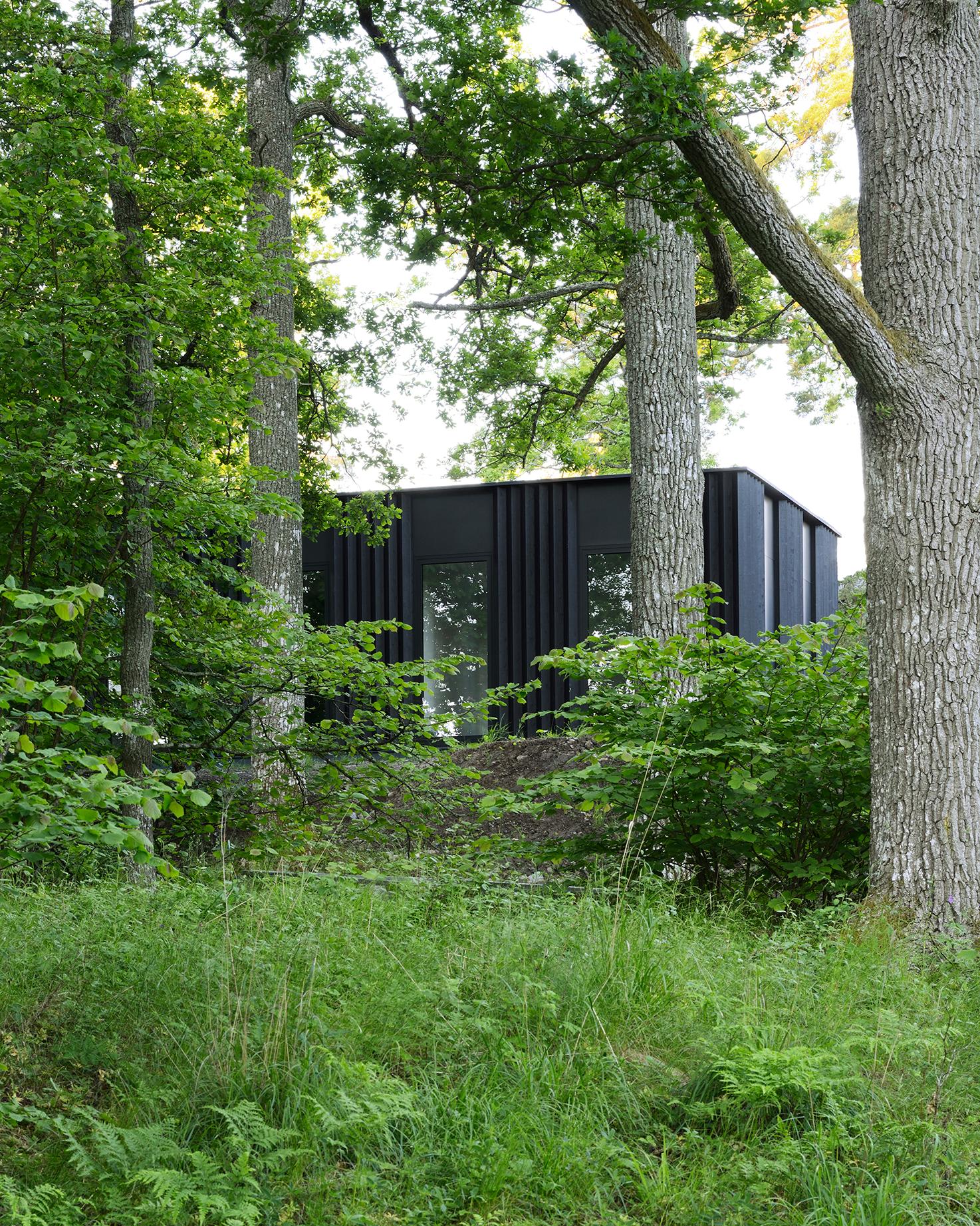 House Myttinge - image 12