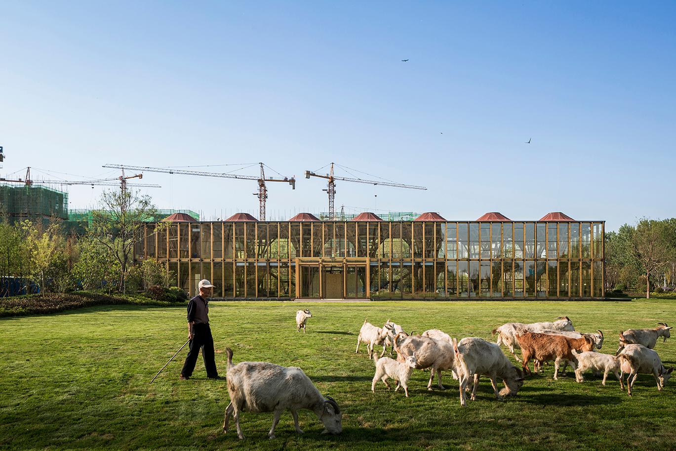 Longfu Life Experience Center — A Universally-used Space Created by General Timbers and Techniques - image 4