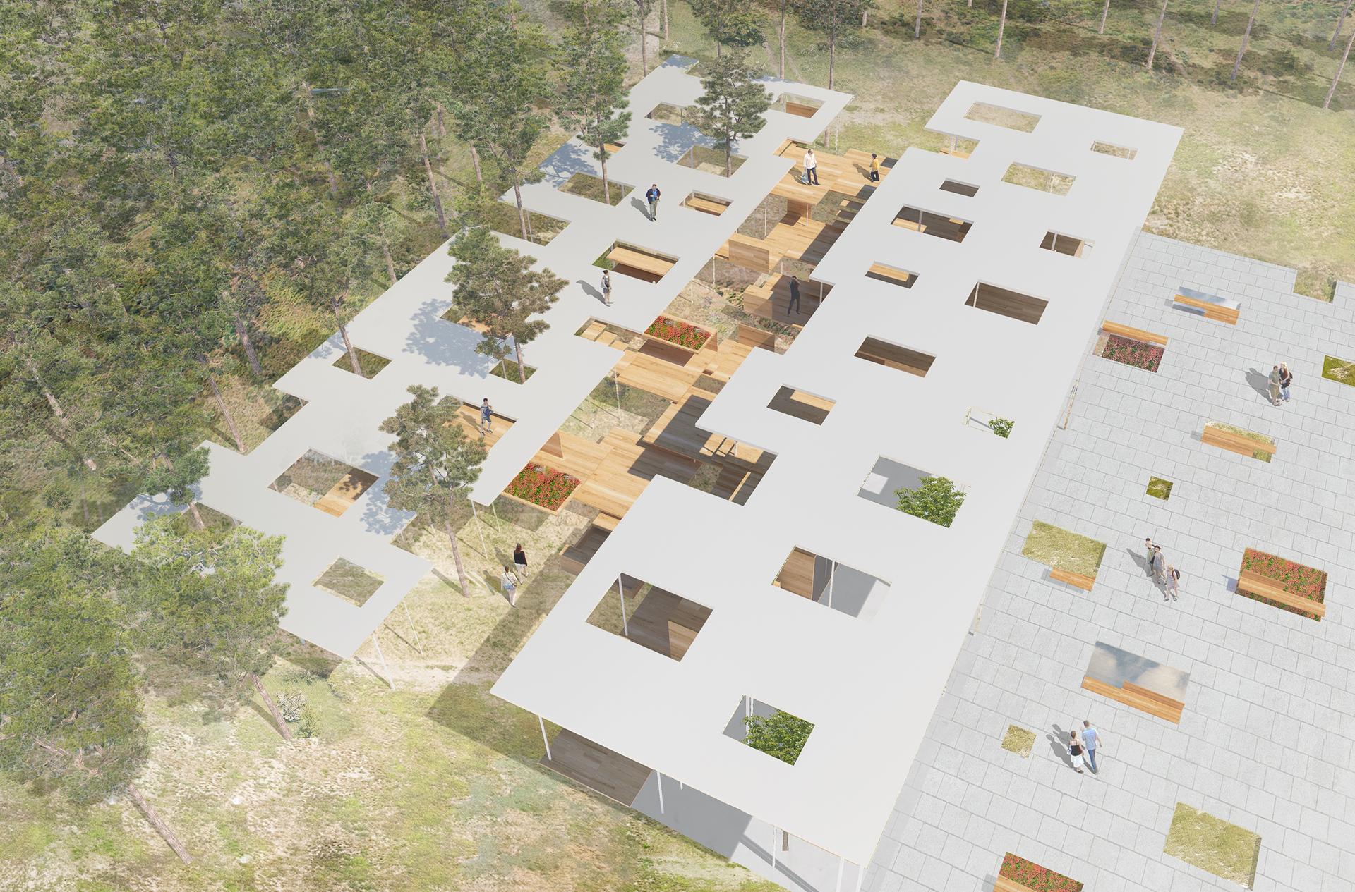 Visitor Center in the Forest - image 5
