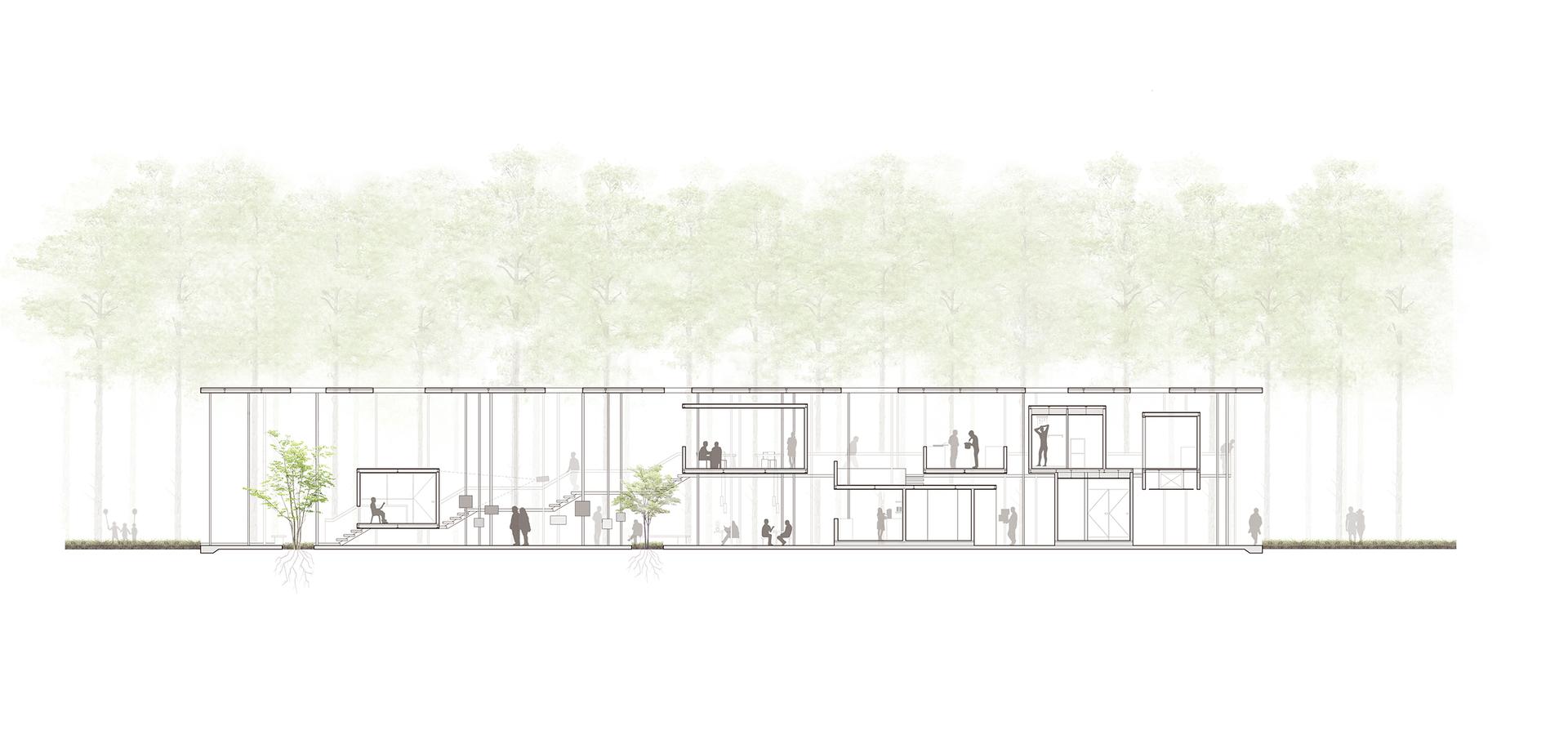 Visitor Center in the Forest - image 11