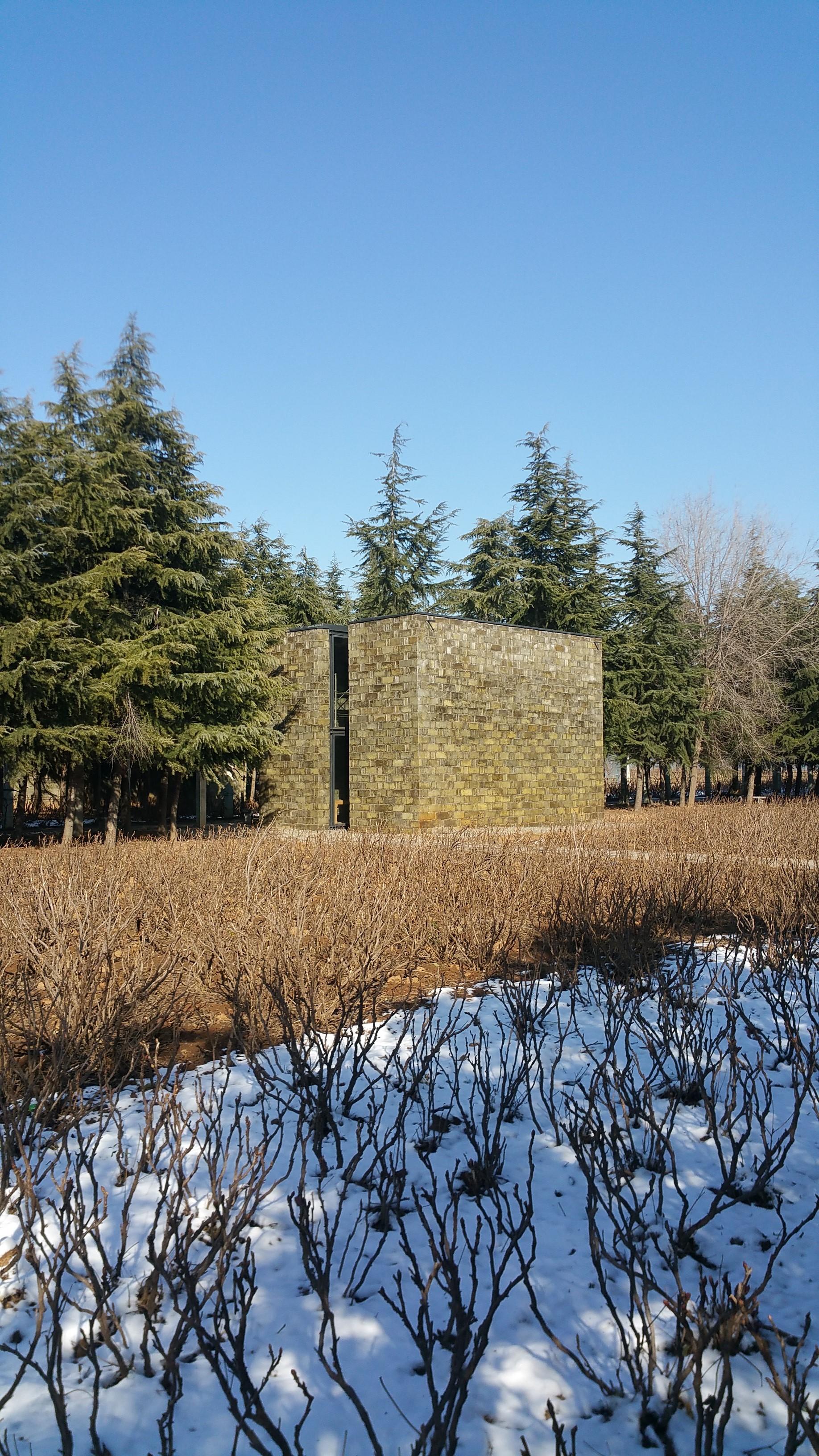 Pavilions in a Peony Garden - image 8