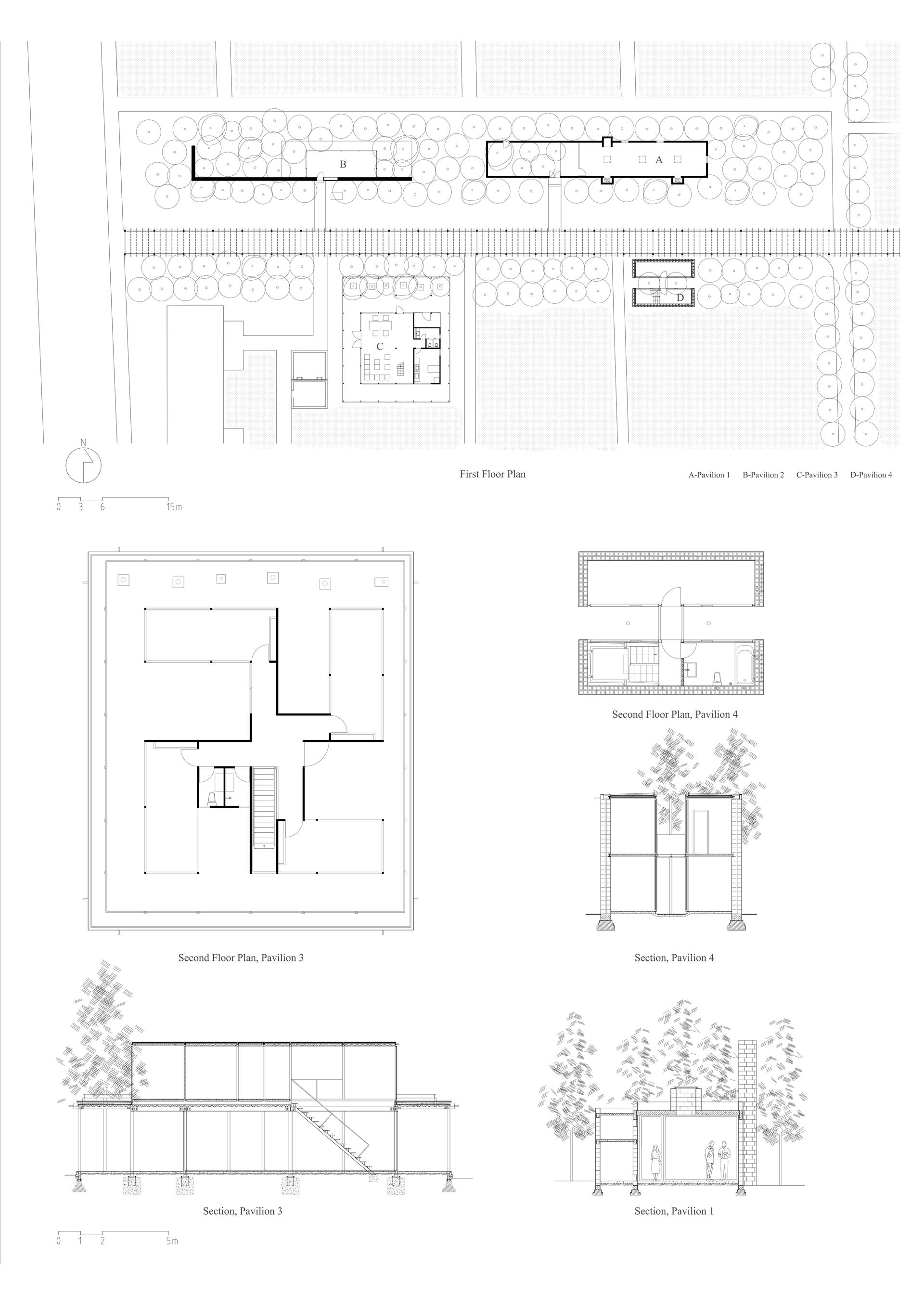 Pavilions in a Peony Garden - image 11