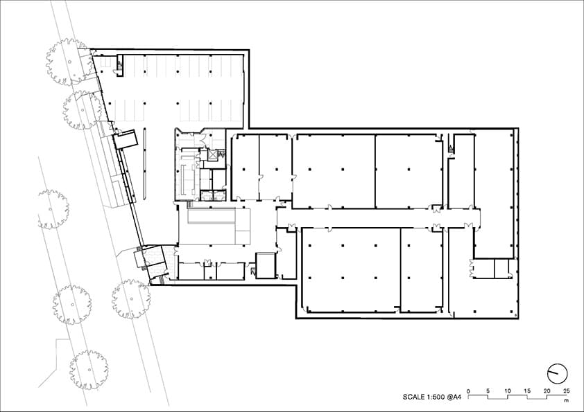 Dangrove - image 10