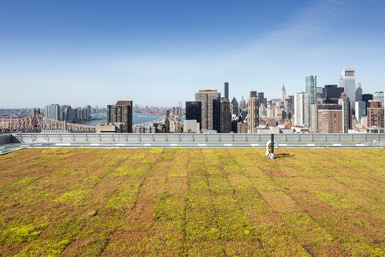 David H. Koch Center, NewYork-Presbyterian Hospital - image 11