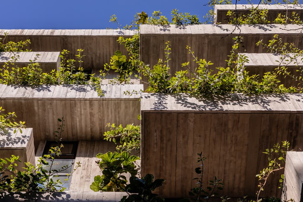 Short Lane - image 6