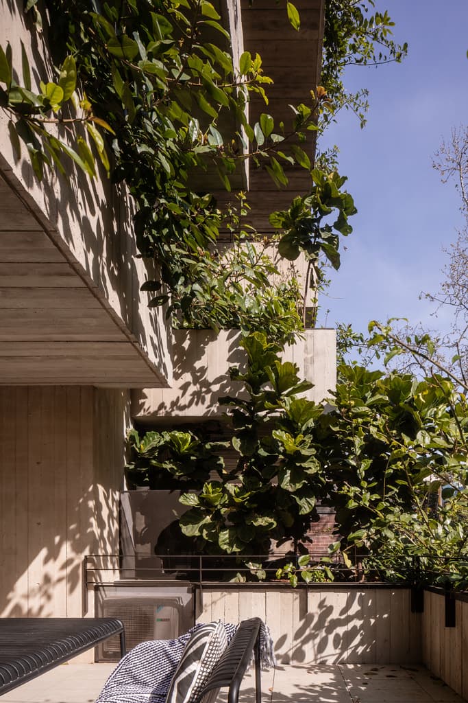 Short Lane - image 7