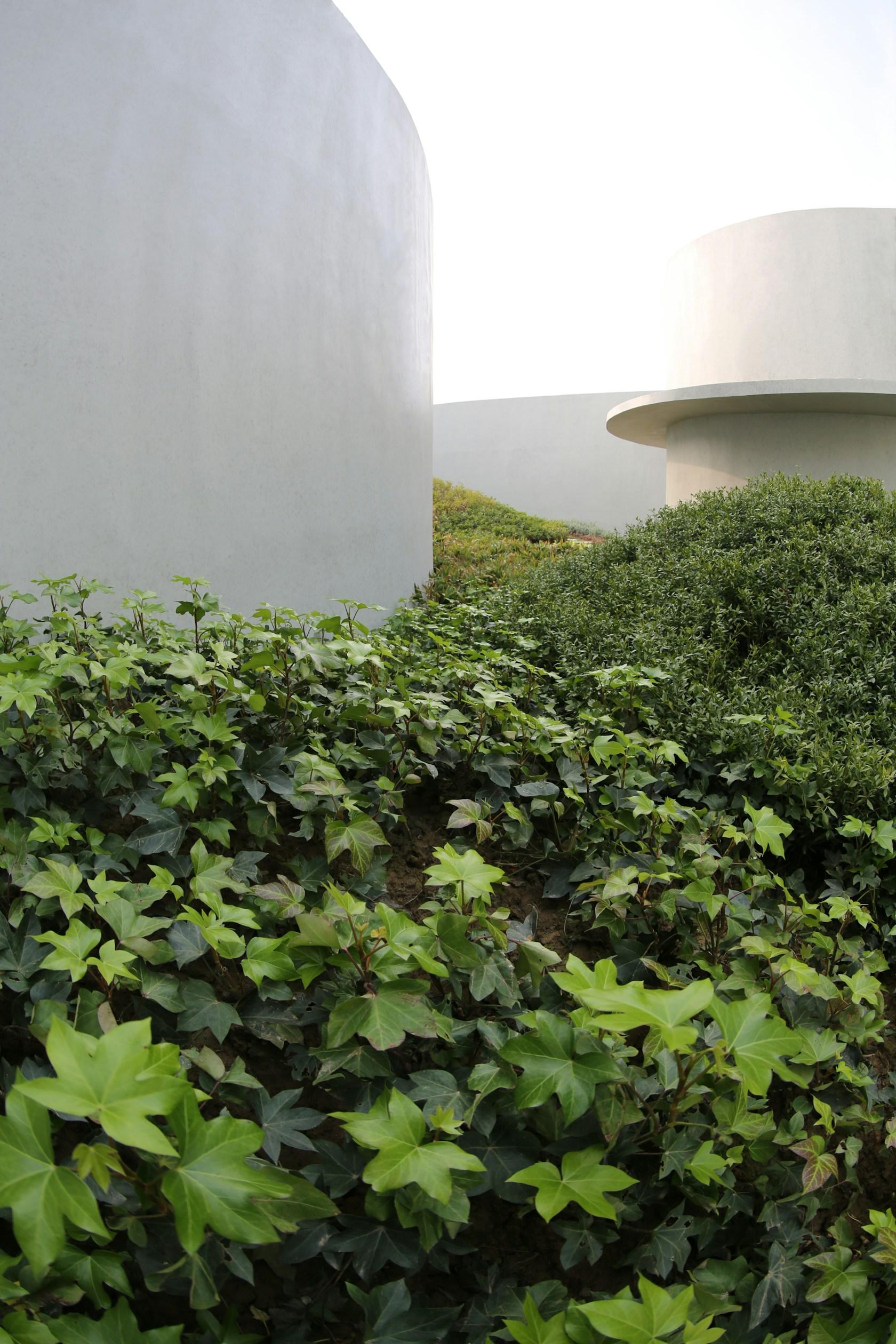 "The Shadow Garden" of World Horticulture Expo in Yangzhou - image 7