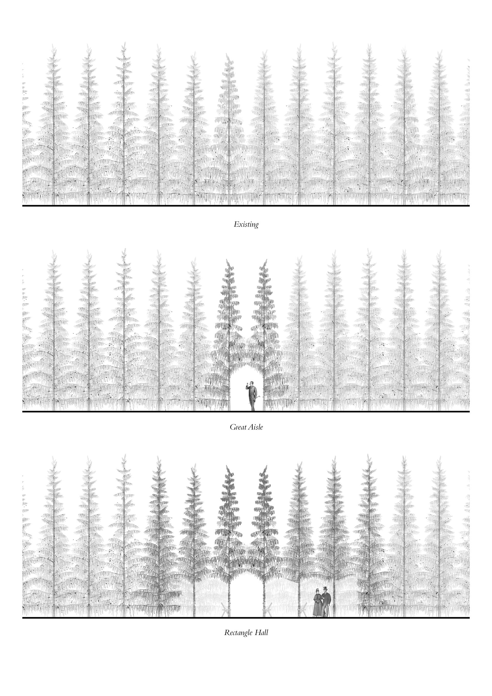Tree Knots - image 10