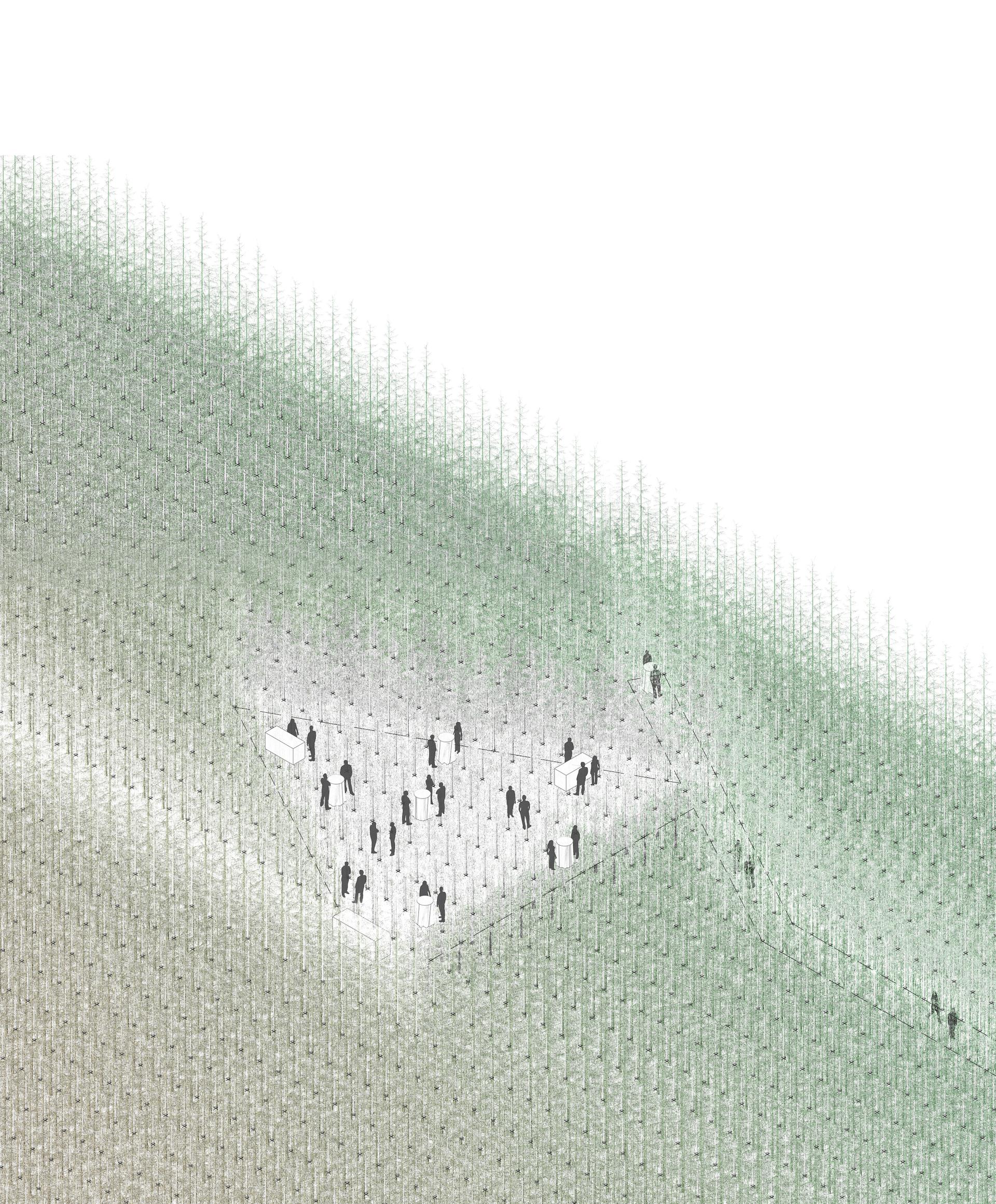 Tree Knots - image 12