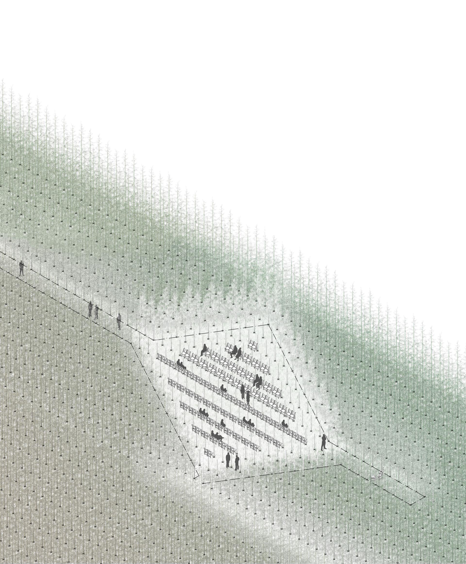 Tree Knots - image 11