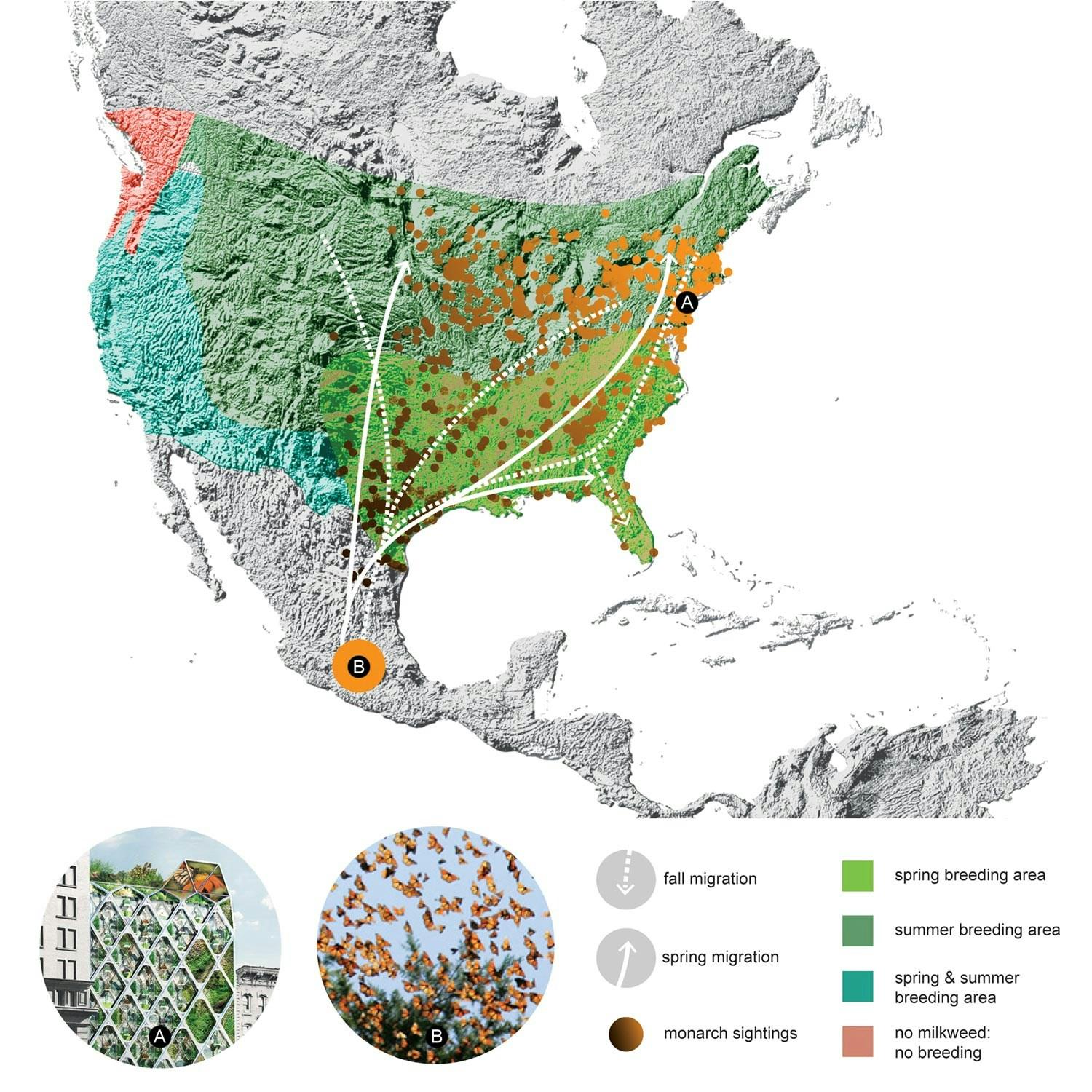 Monarch Sanctuary: Integrated Biodiversity in Double Skin Facade - image 13