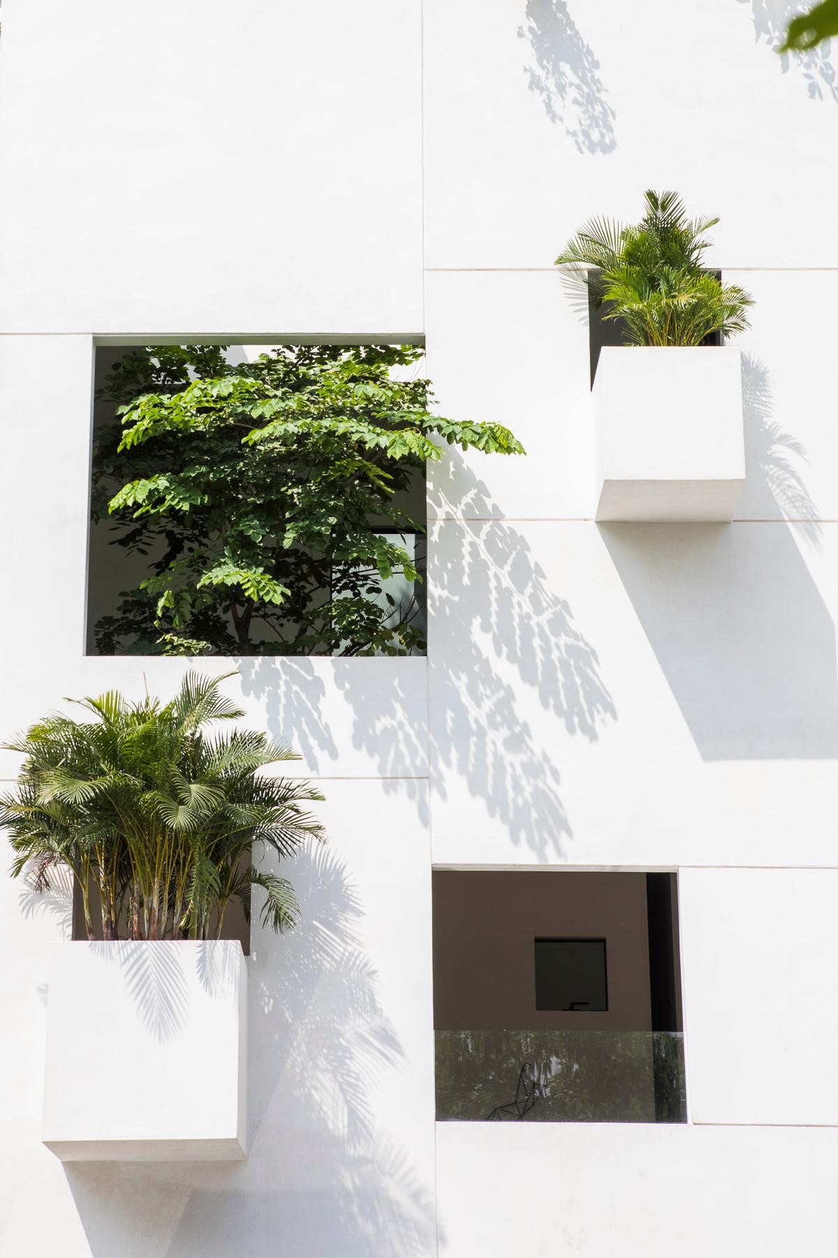 Sky House - image 5