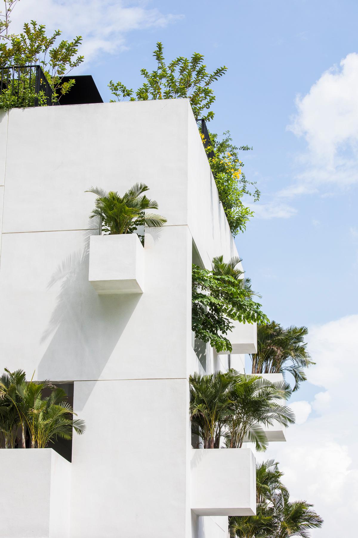 Sky House - image 6