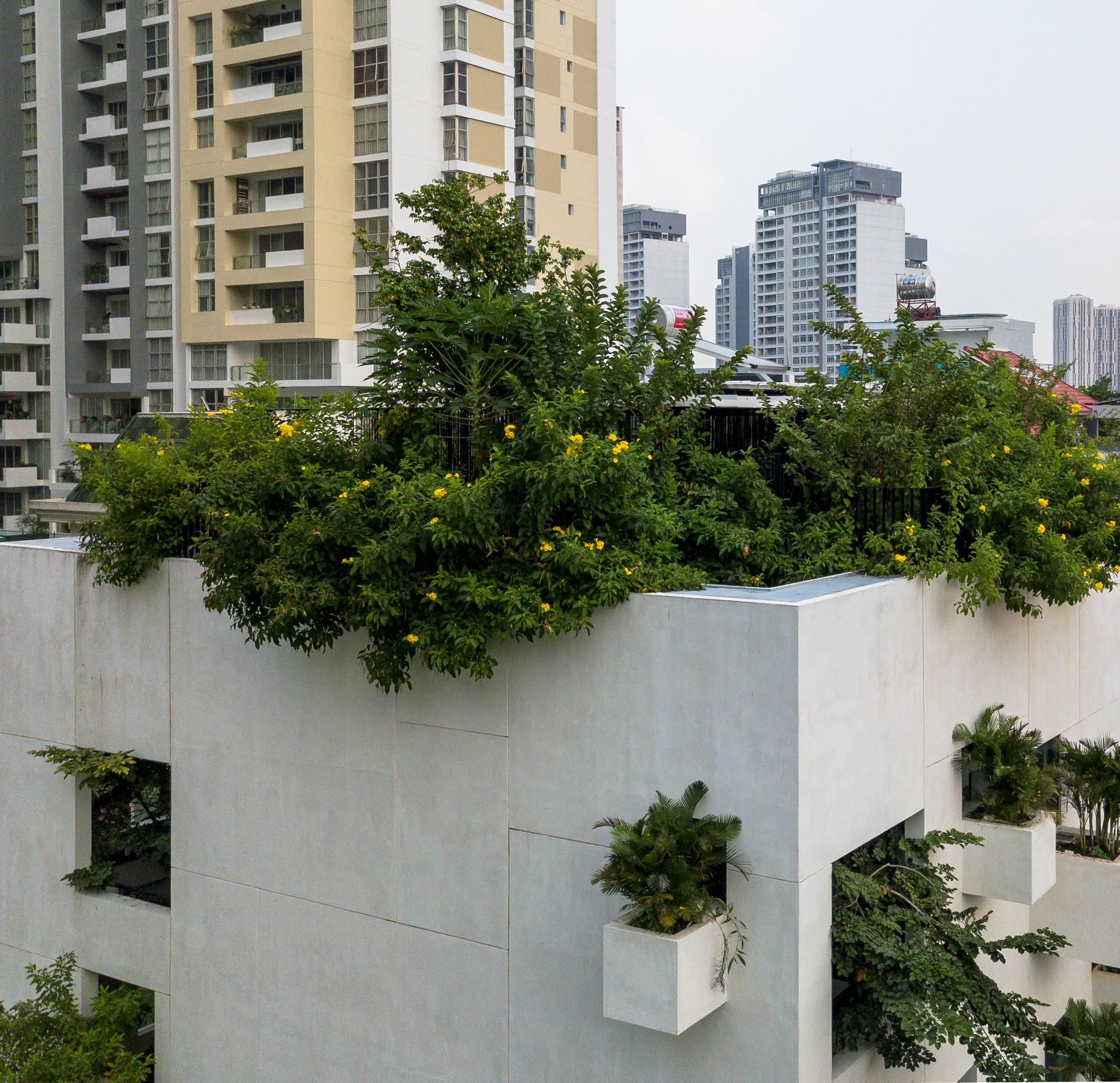 Sky House - image 7