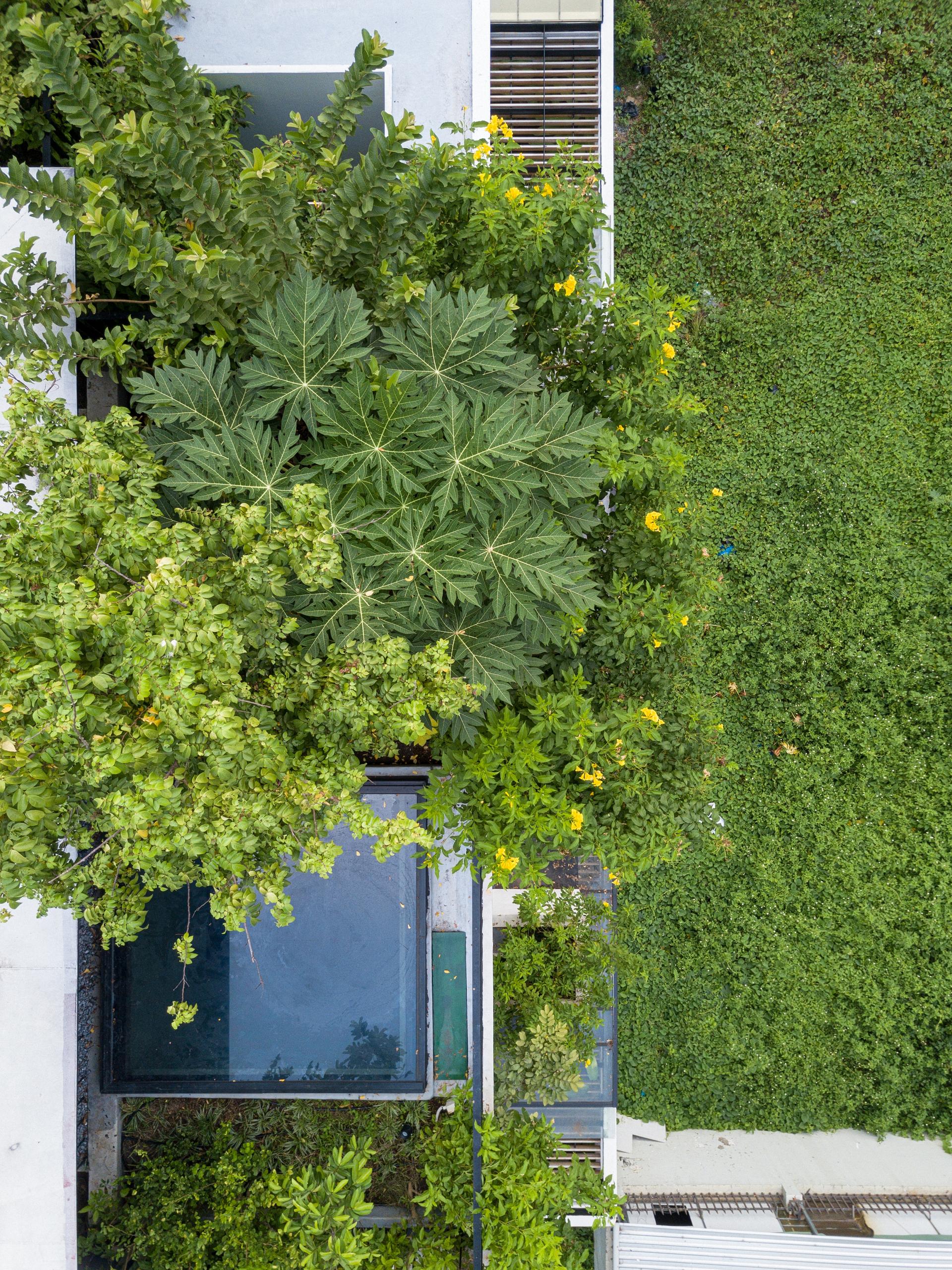 Sky House - image 8