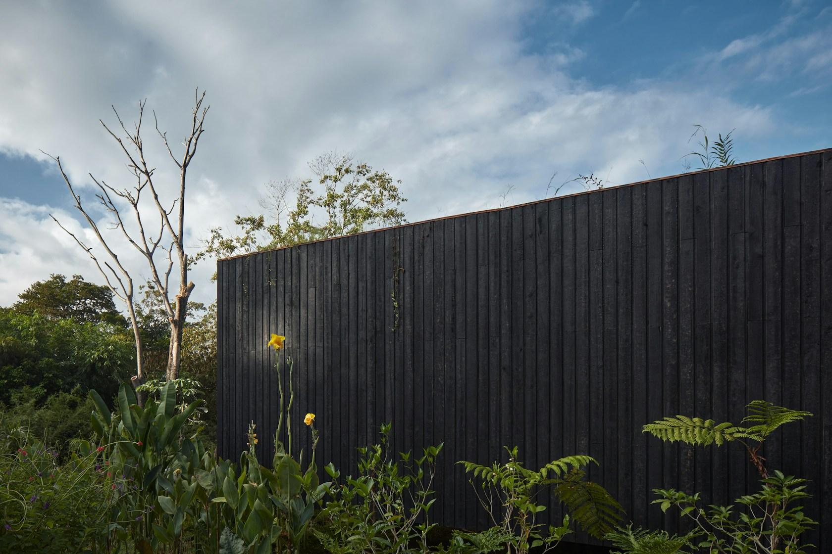 Art Villas Costa Rica | Atelier Villa - image 4