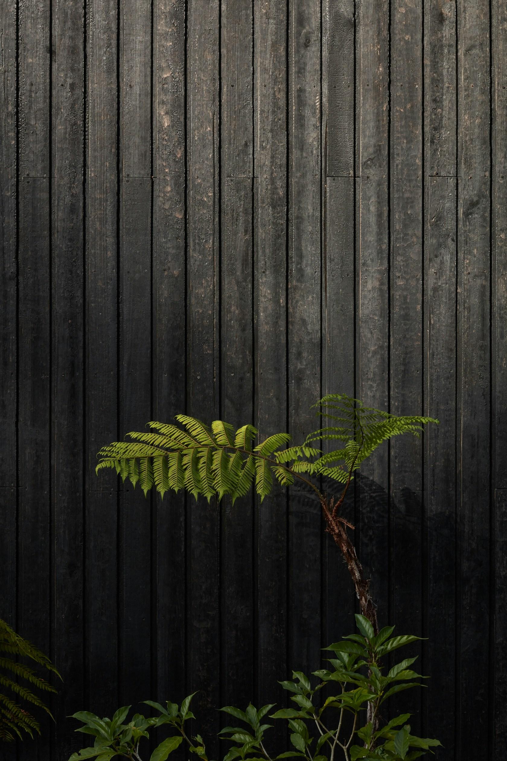 Art Villas Costa Rica | Atelier Villa - image 7