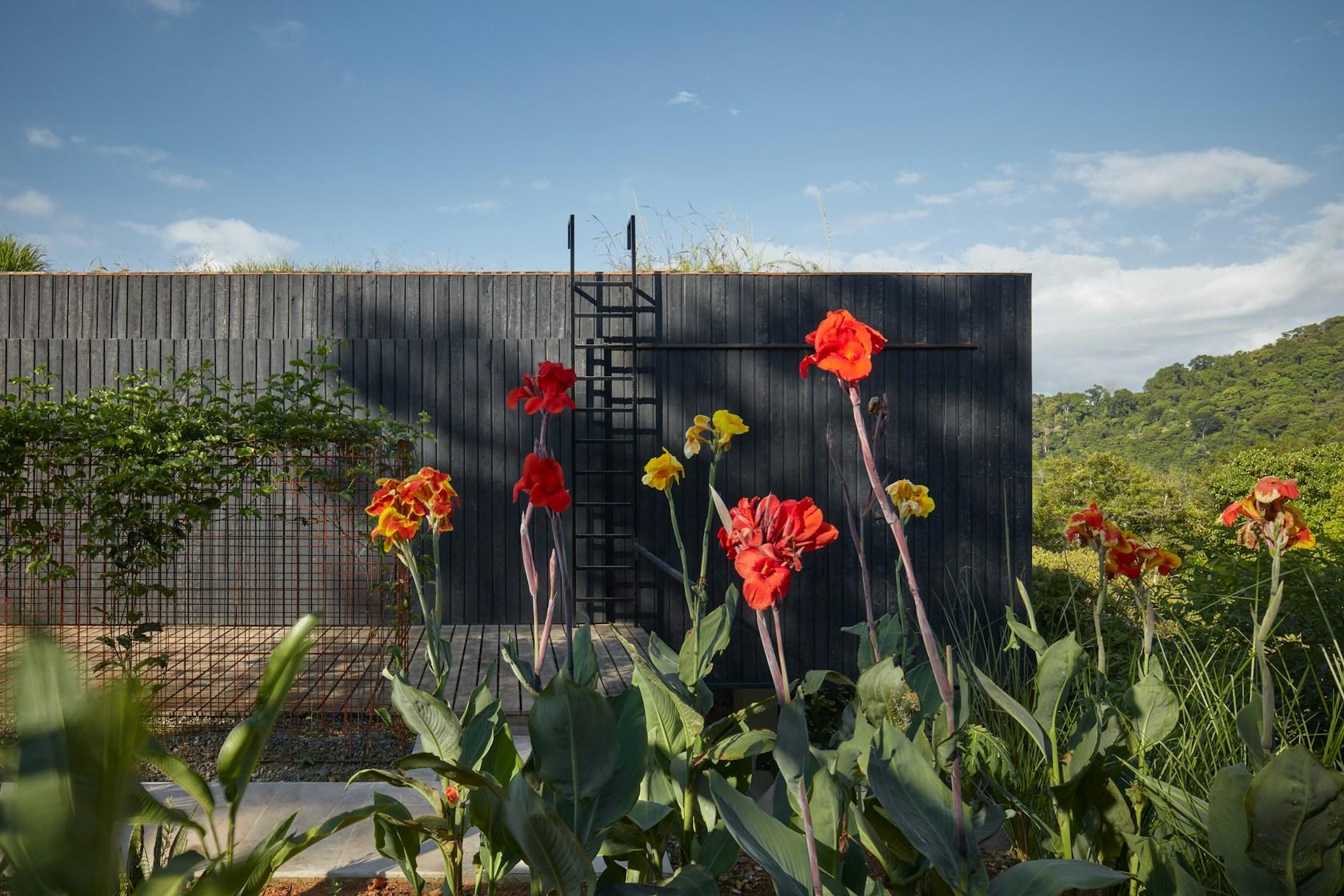 Art Villas Costa Rica | Atelier Villa - image 10