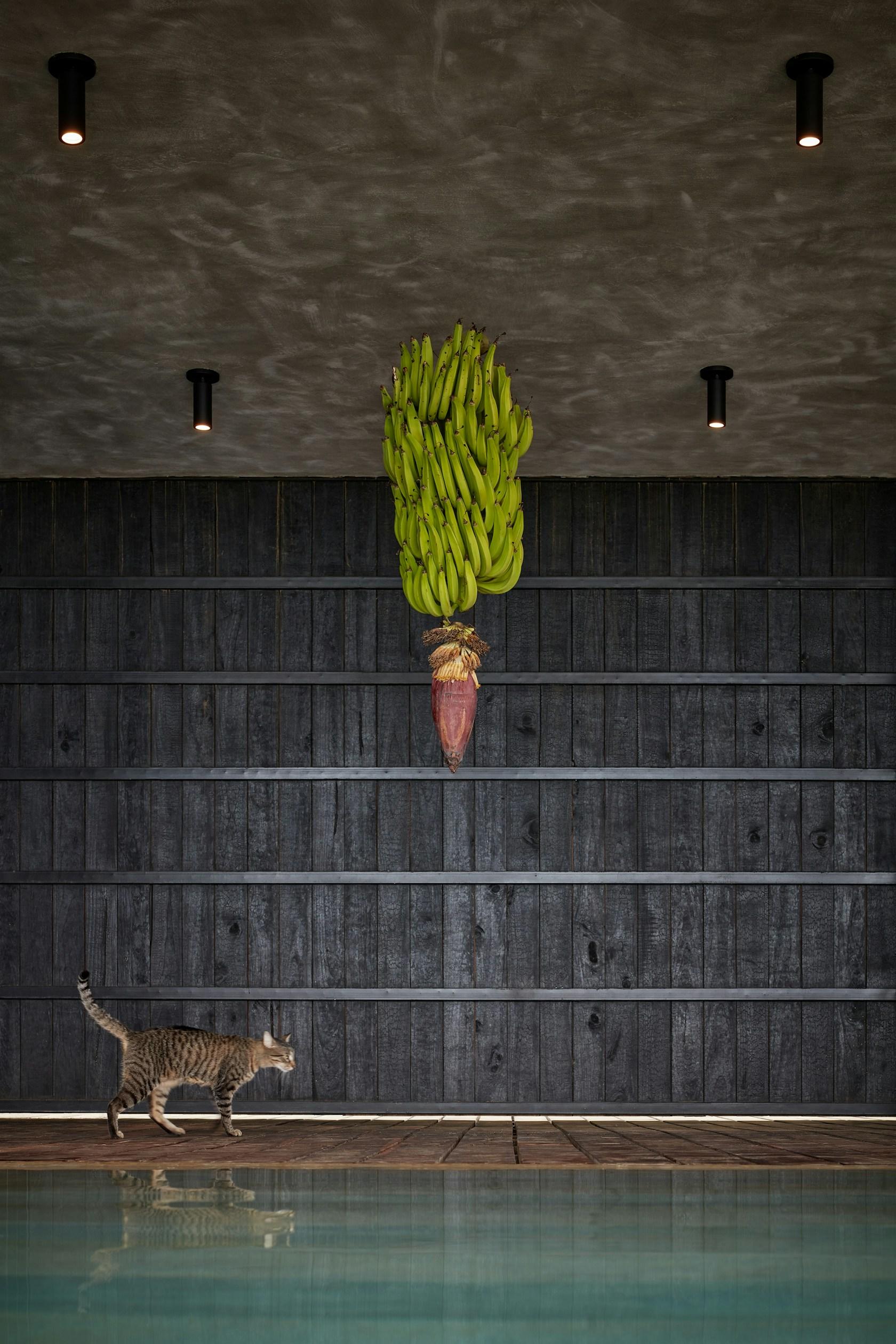Art Villas Costa Rica | Atelier Villa - image 18