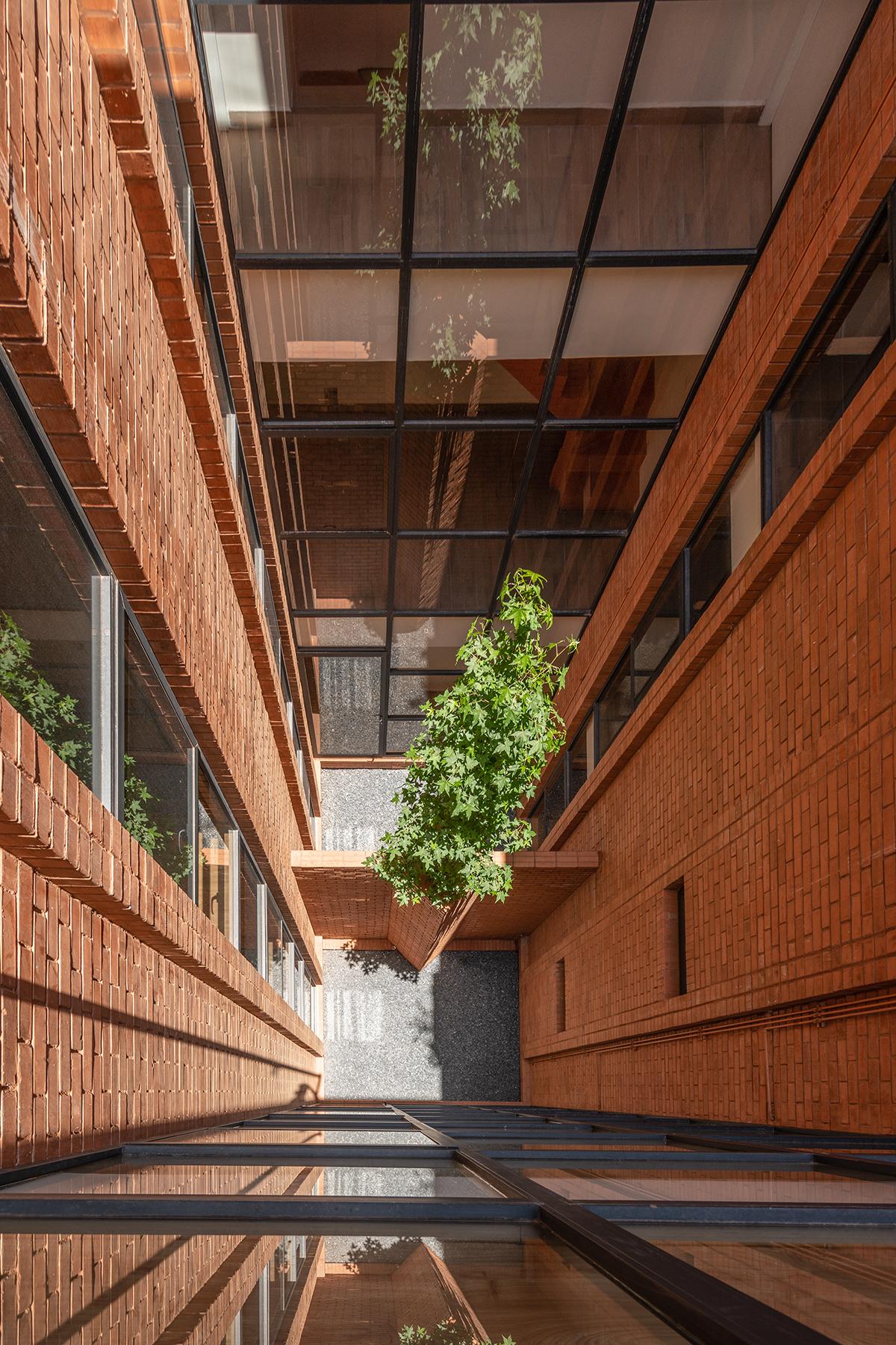 139 SCHULTZ - image 6