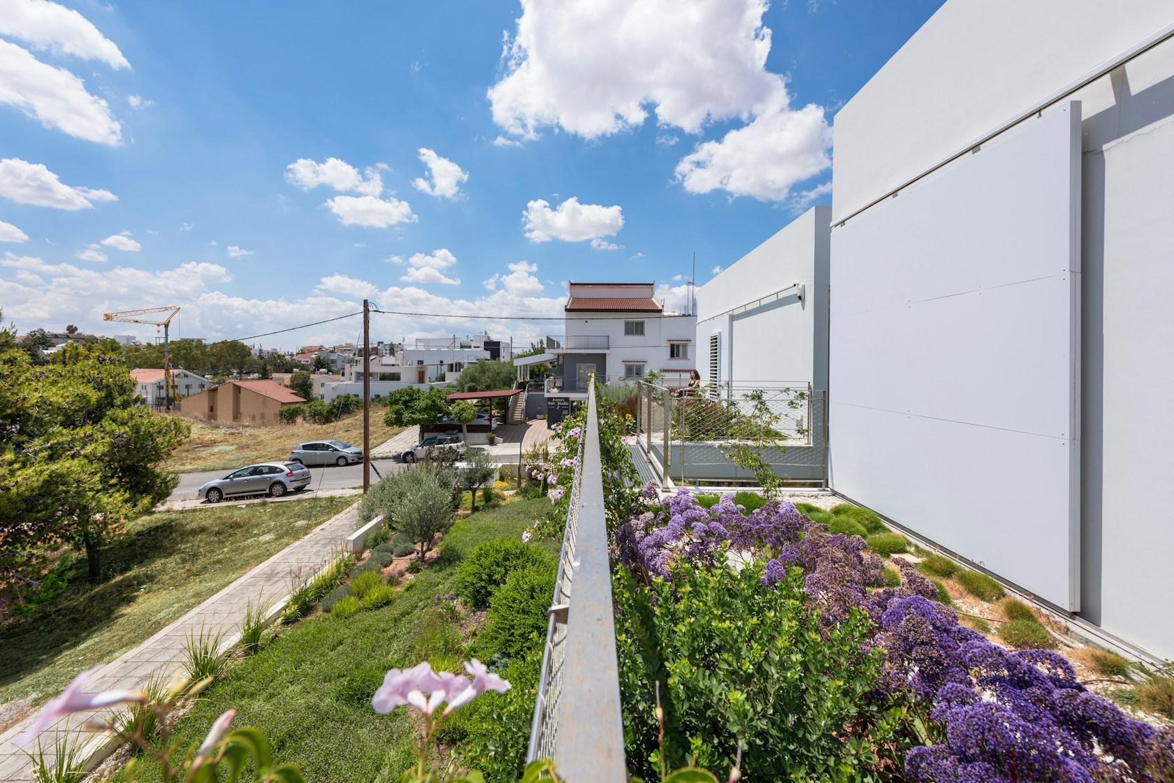 The garden house in the city - image 12