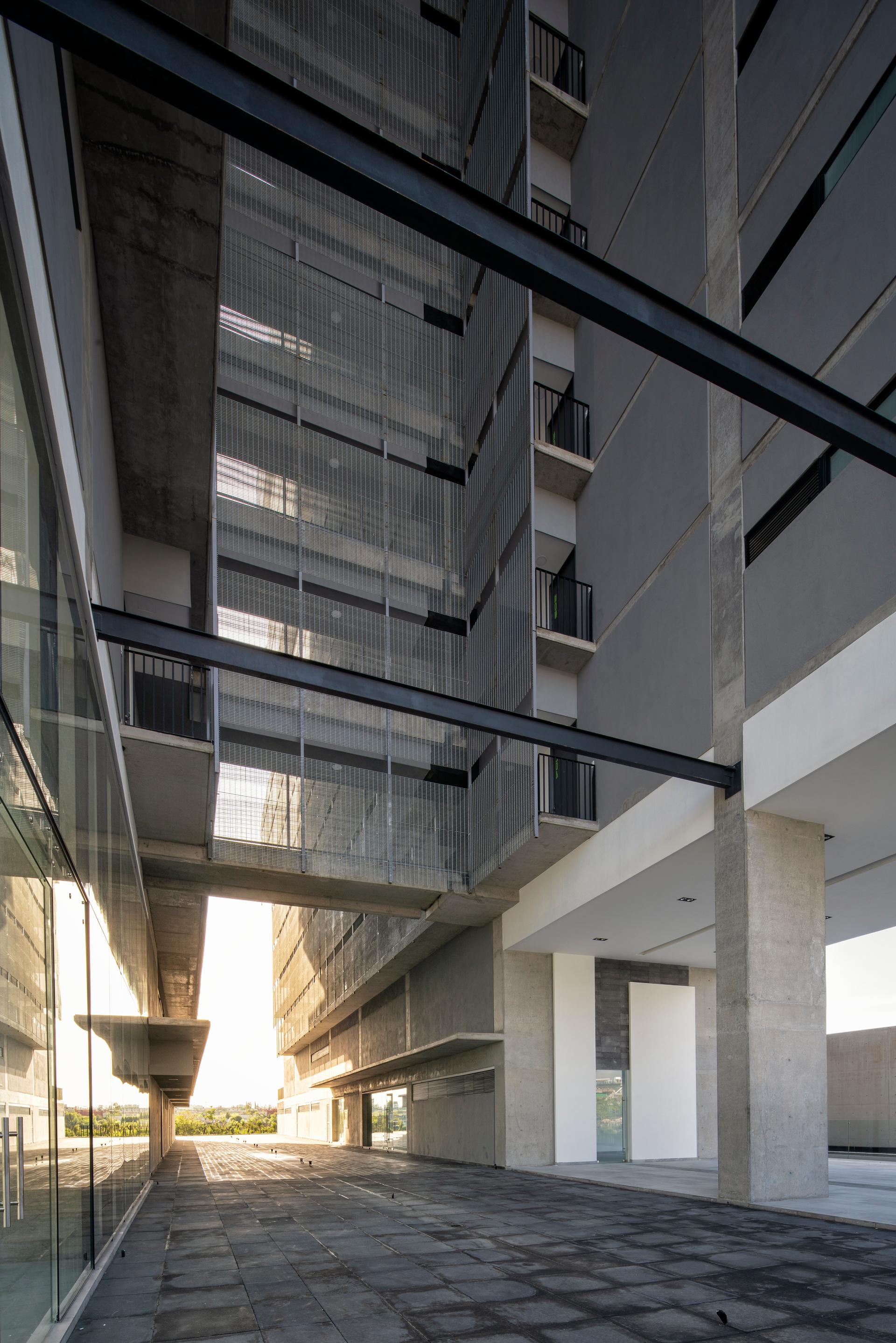 AMANI - image 7
