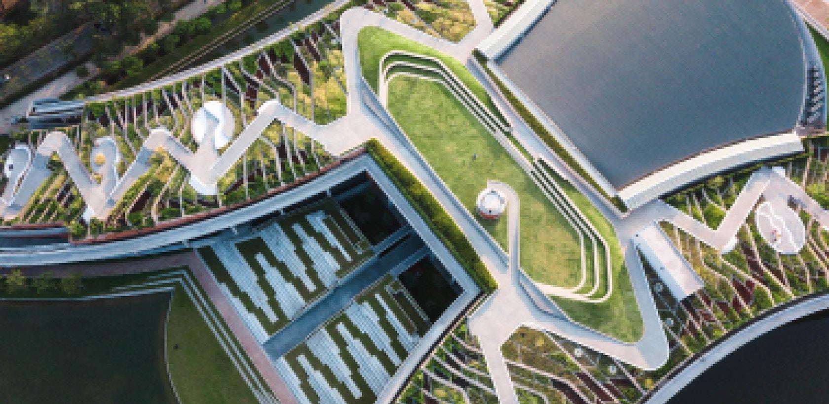 Thammasat University Urban Rooftop Farm - image 3