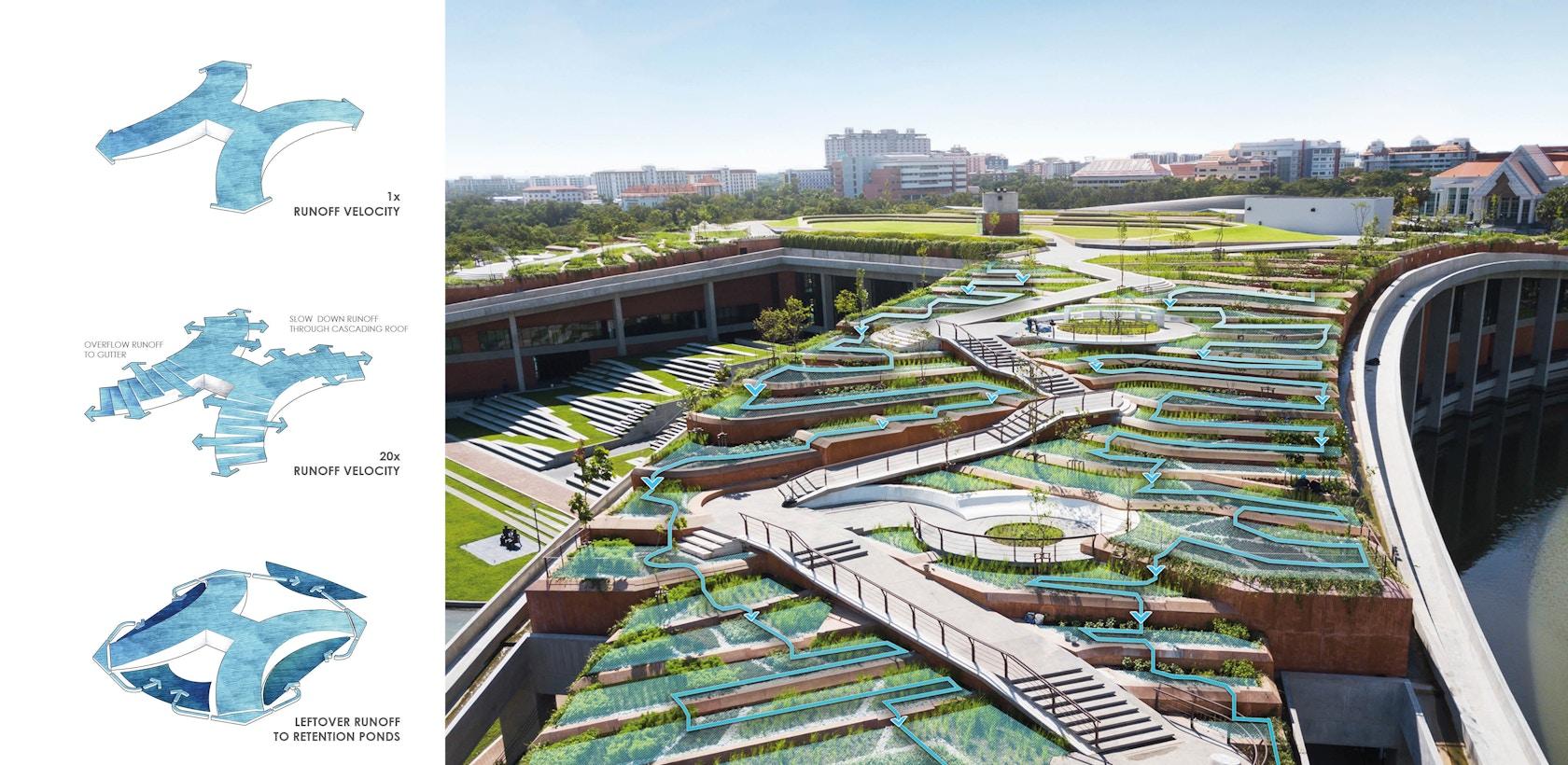 Thammasat University Urban Rooftop Farm - image 5