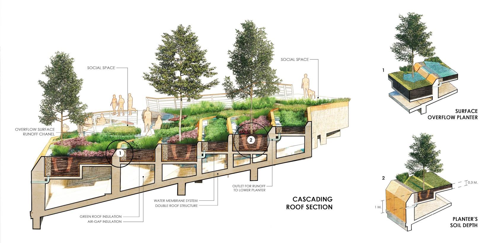 Thammasat University Urban Rooftop Farm - image 6