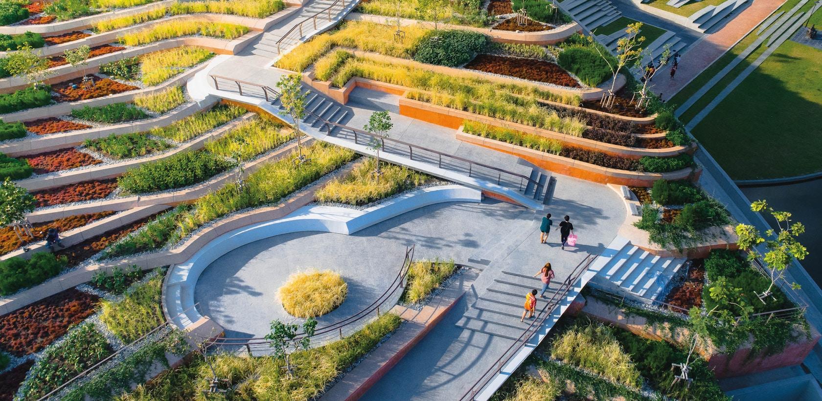 Thammasat University Urban Rooftop Farm - image 7
