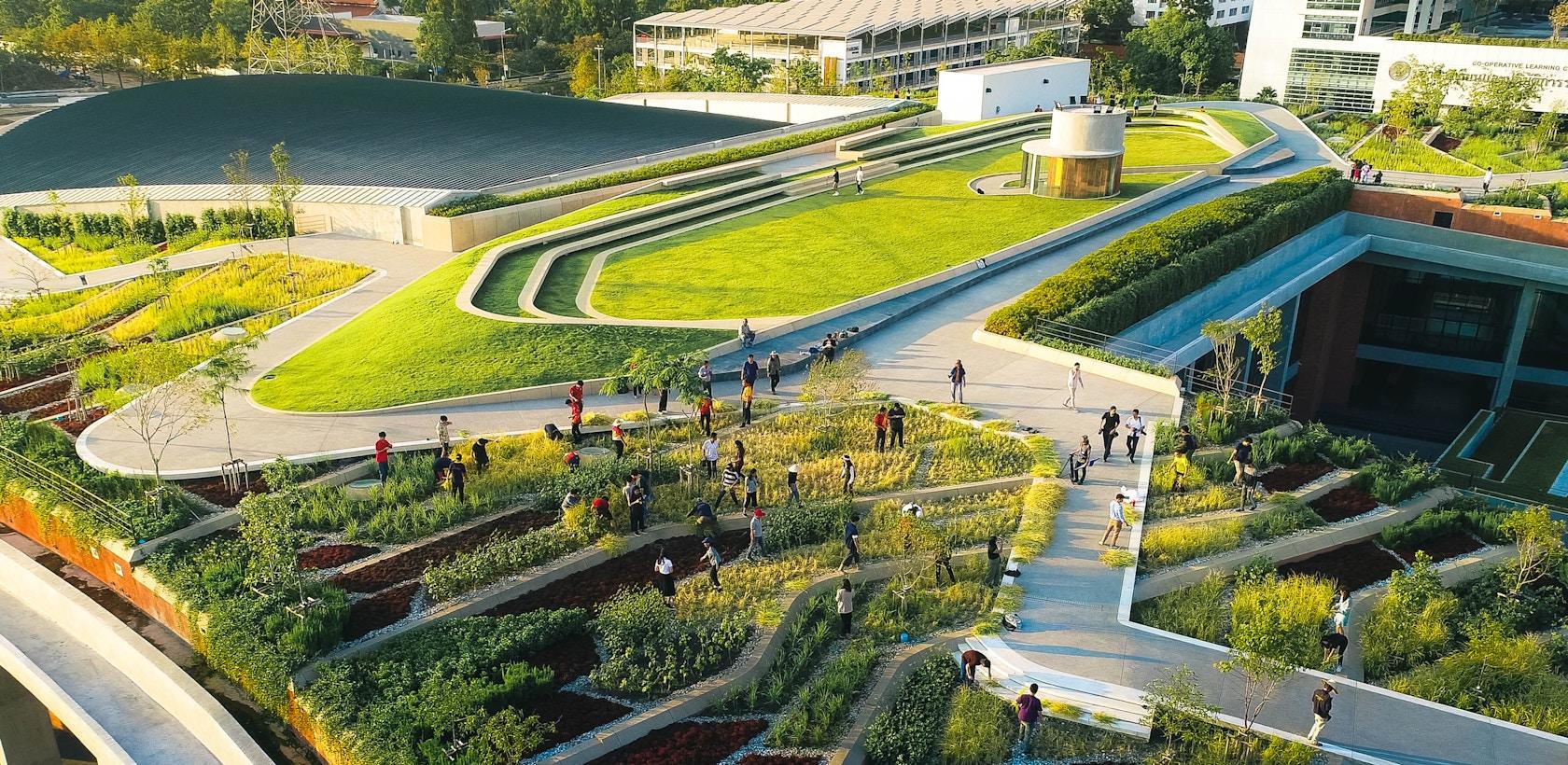 Thammasat University Urban Rooftop Farm - image 9