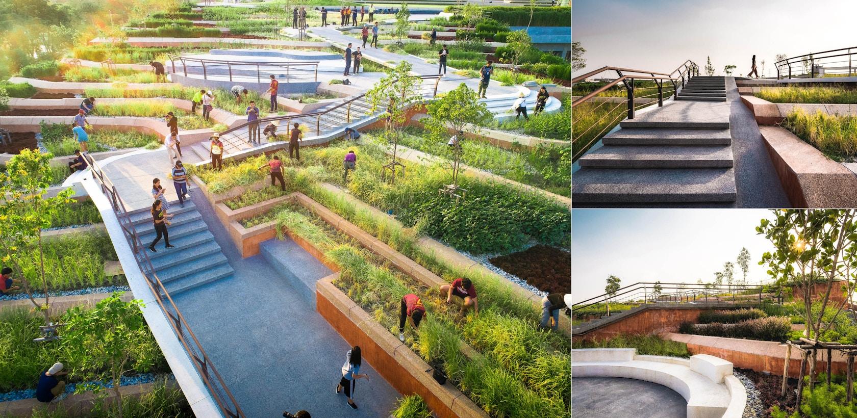 Thammasat University Urban Rooftop Farm - image 10
