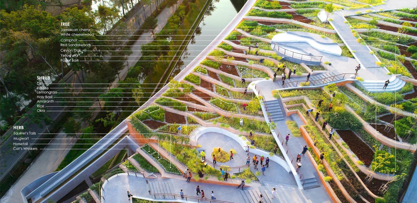 Thammasat University Urban Rooftop Farm - image 13