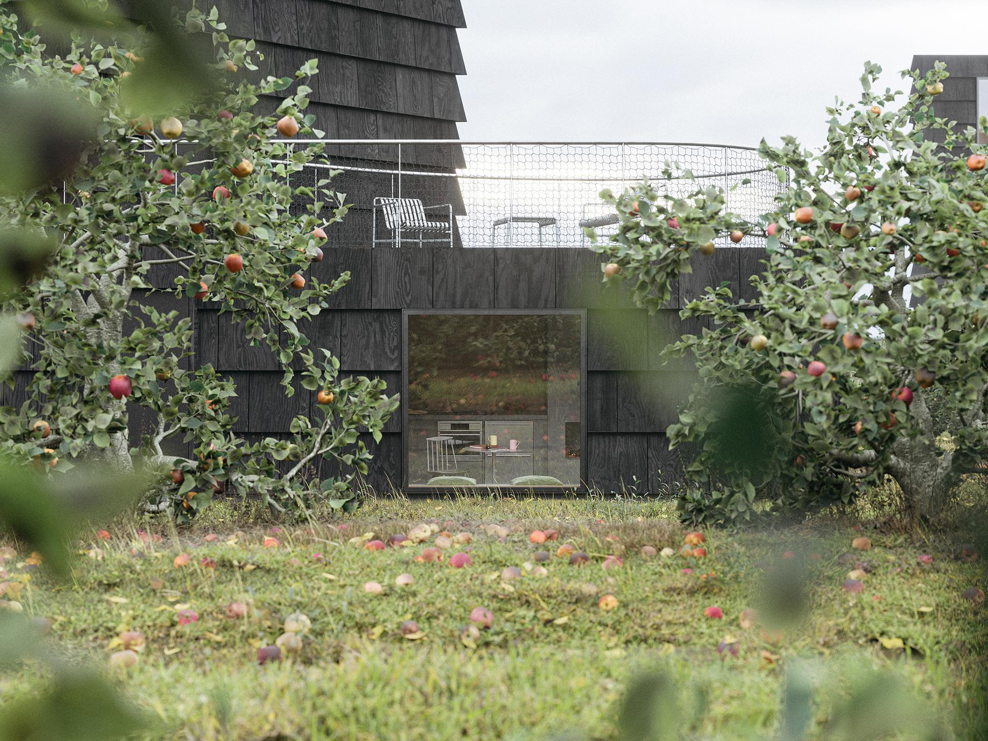 The Orchard