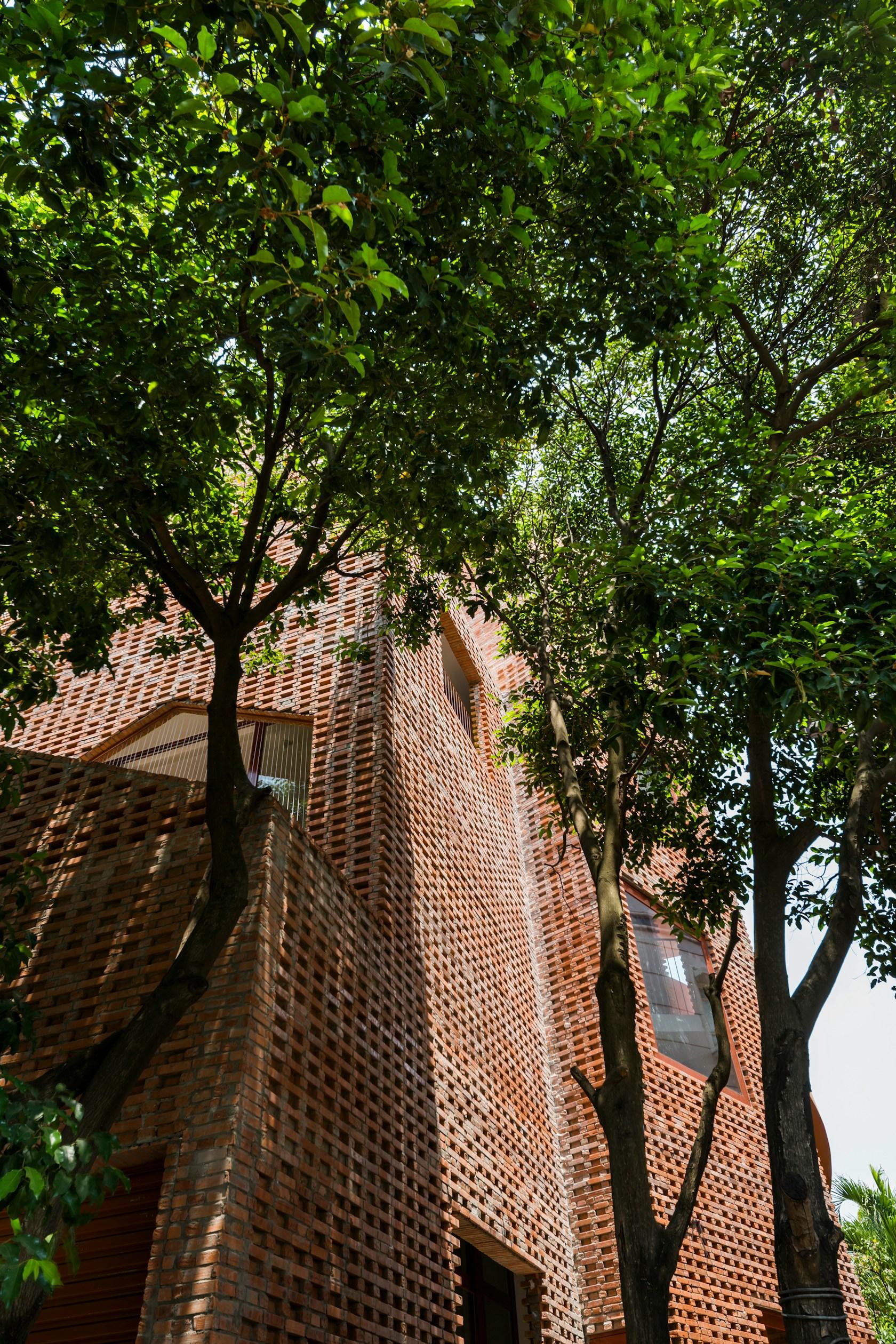 CHUON CHUON KIM 2 KINDERGARTEN - image 3