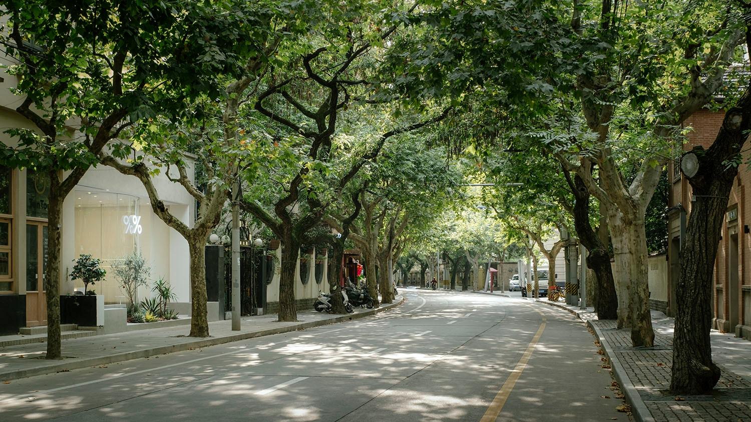 % Arabica West Jianguo Road - image 2