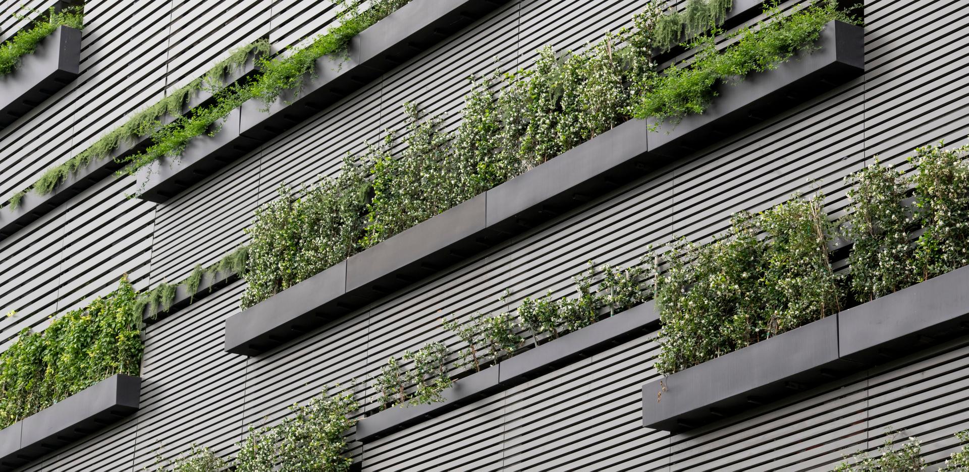 70 Rainey Sky Garden - image 7
