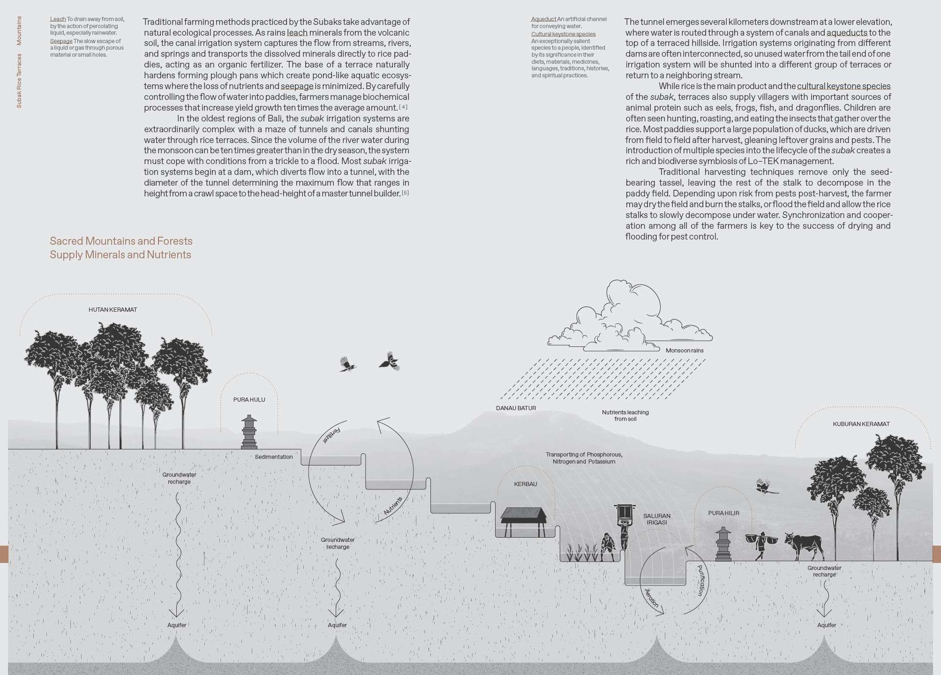 Lo—TEK, Design by Radical Indigenism - image 3