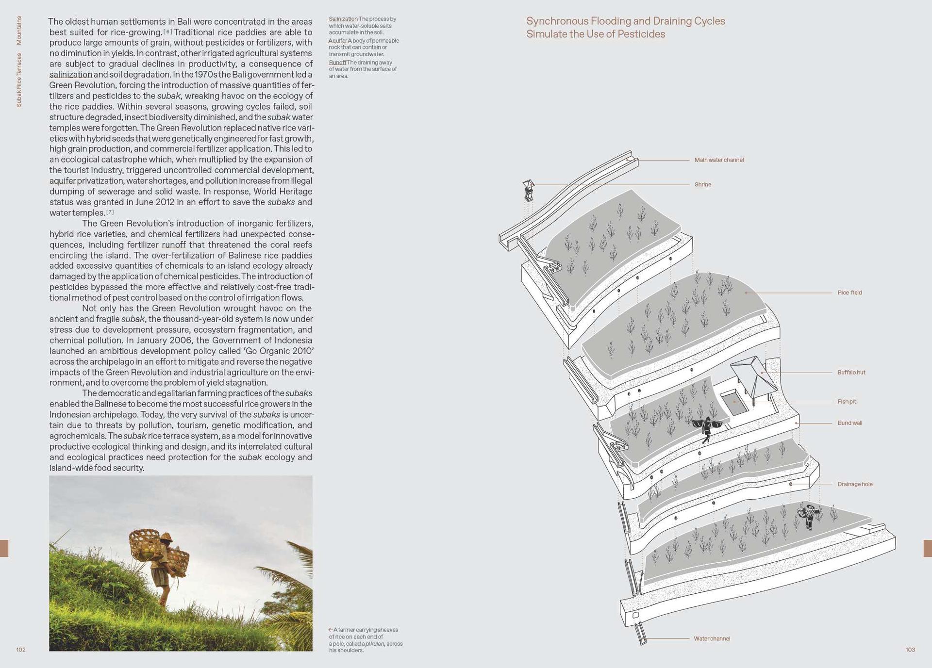 Lo—TEK, Design by Radical Indigenism - image 6