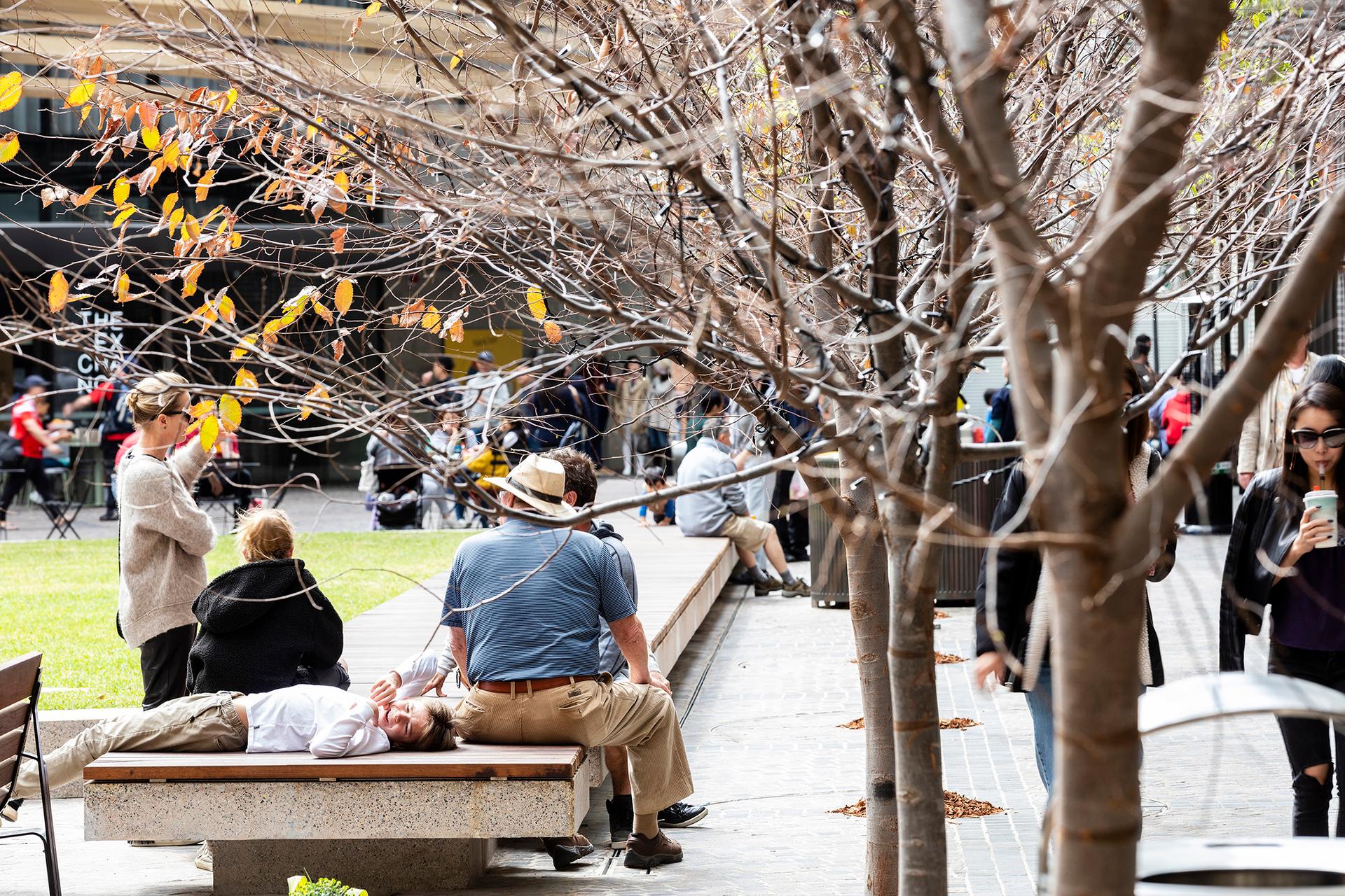 Darling Square - image 5