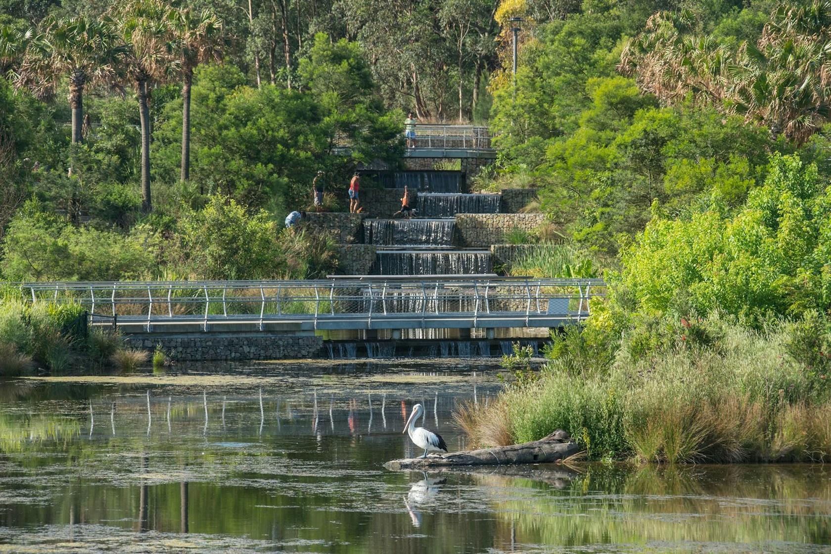 Sydney Park Water Re-Use Project