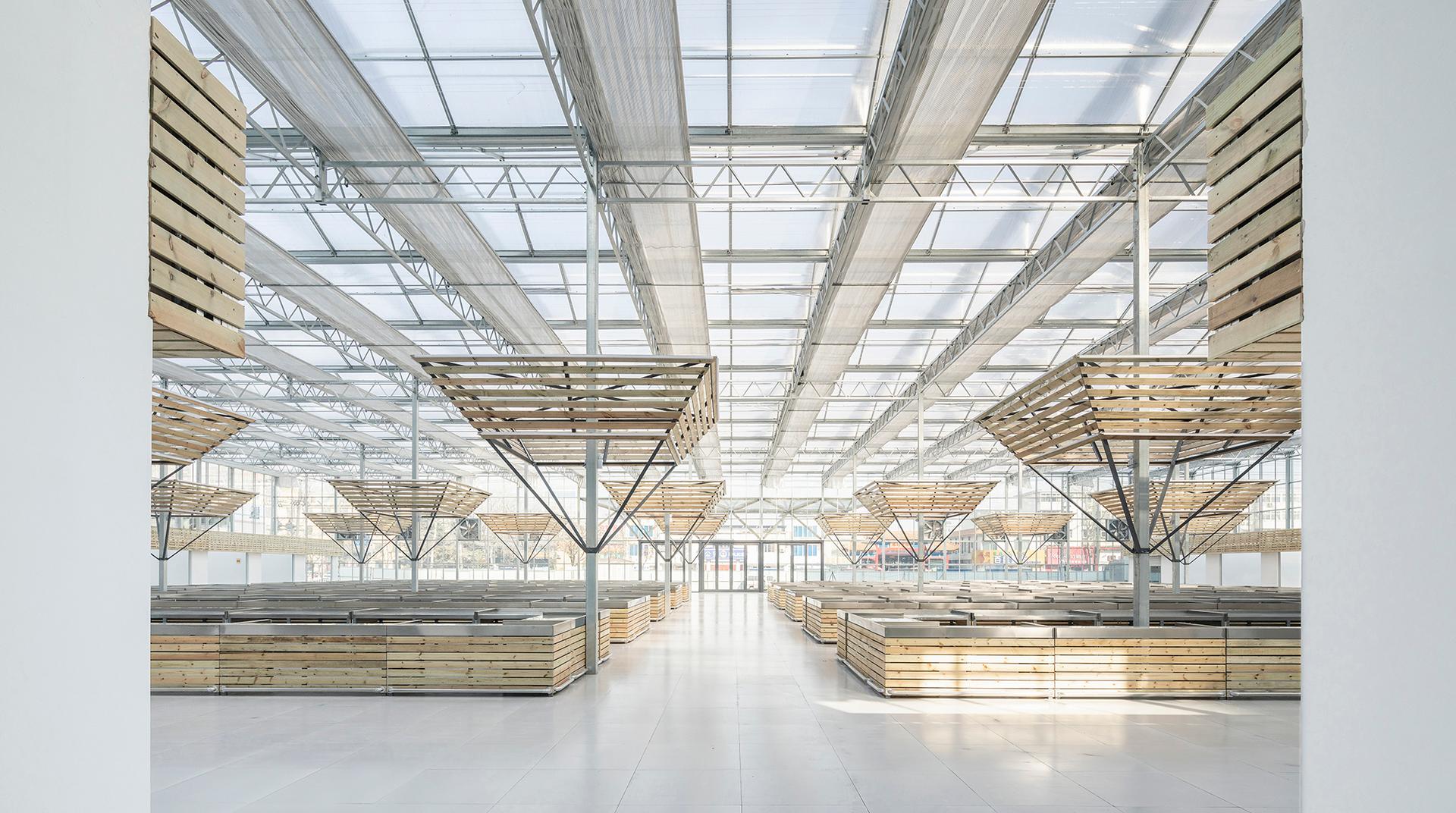 Temporary Site of Shengli Market — Creation of Spatial Order - image 12